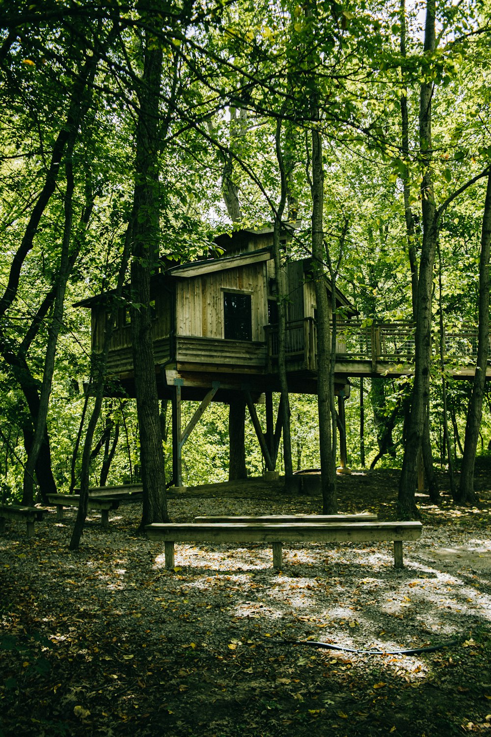 a tree house in the middle of a forest