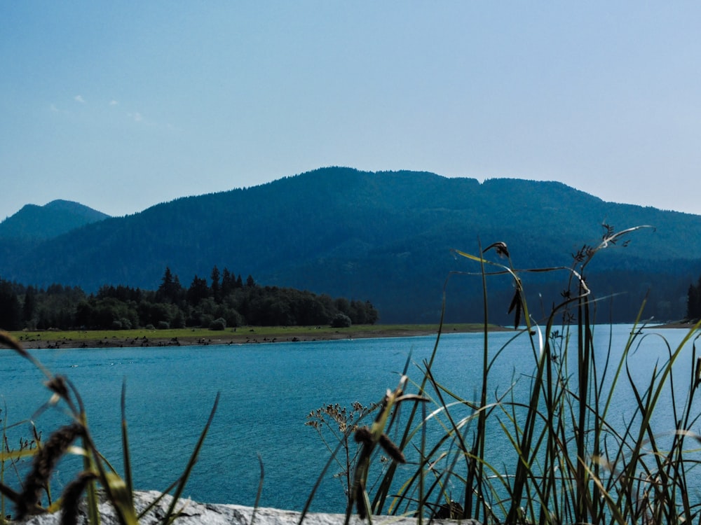 a body of water with mountains in the background