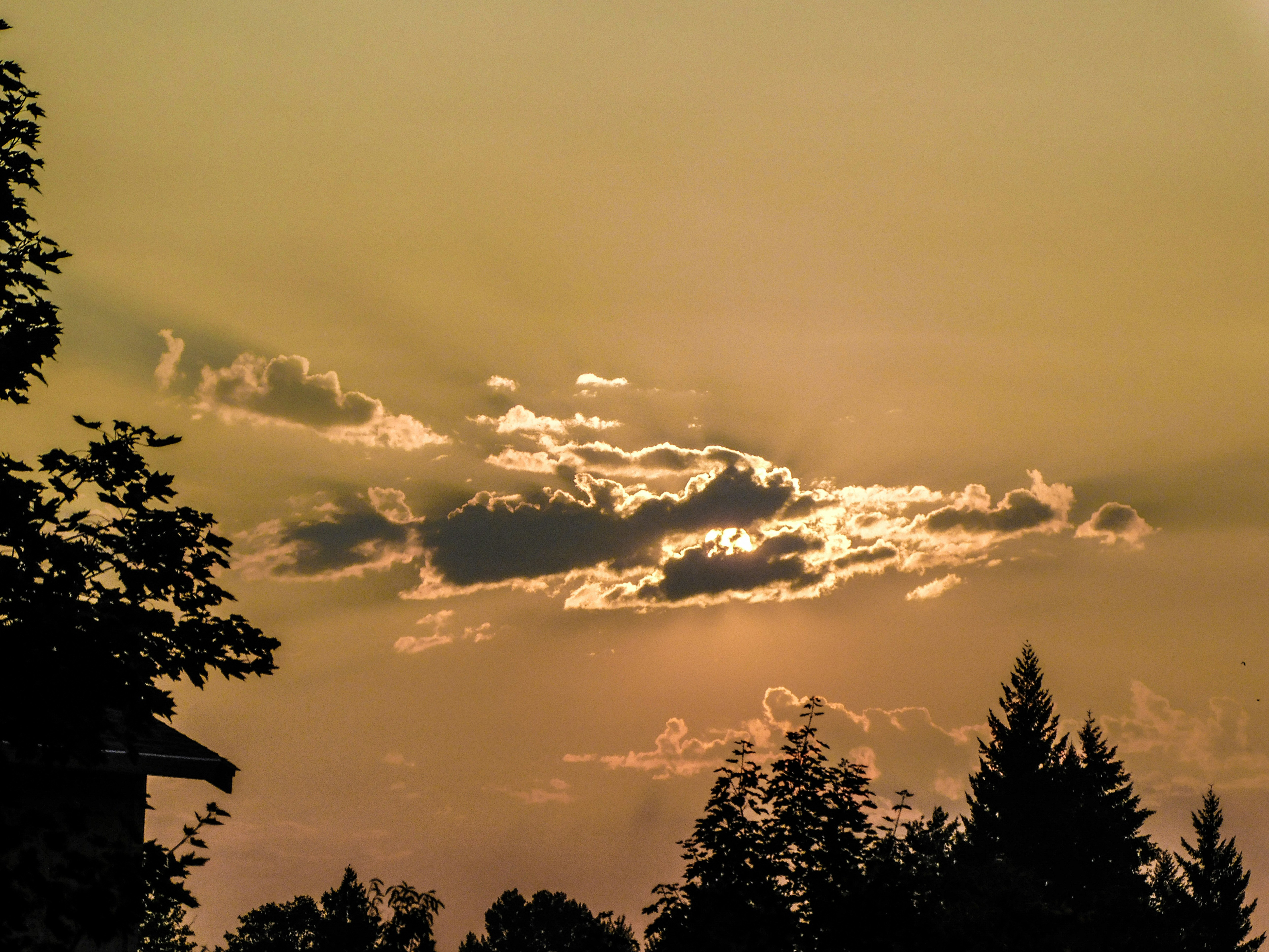 Photo by prphotography262