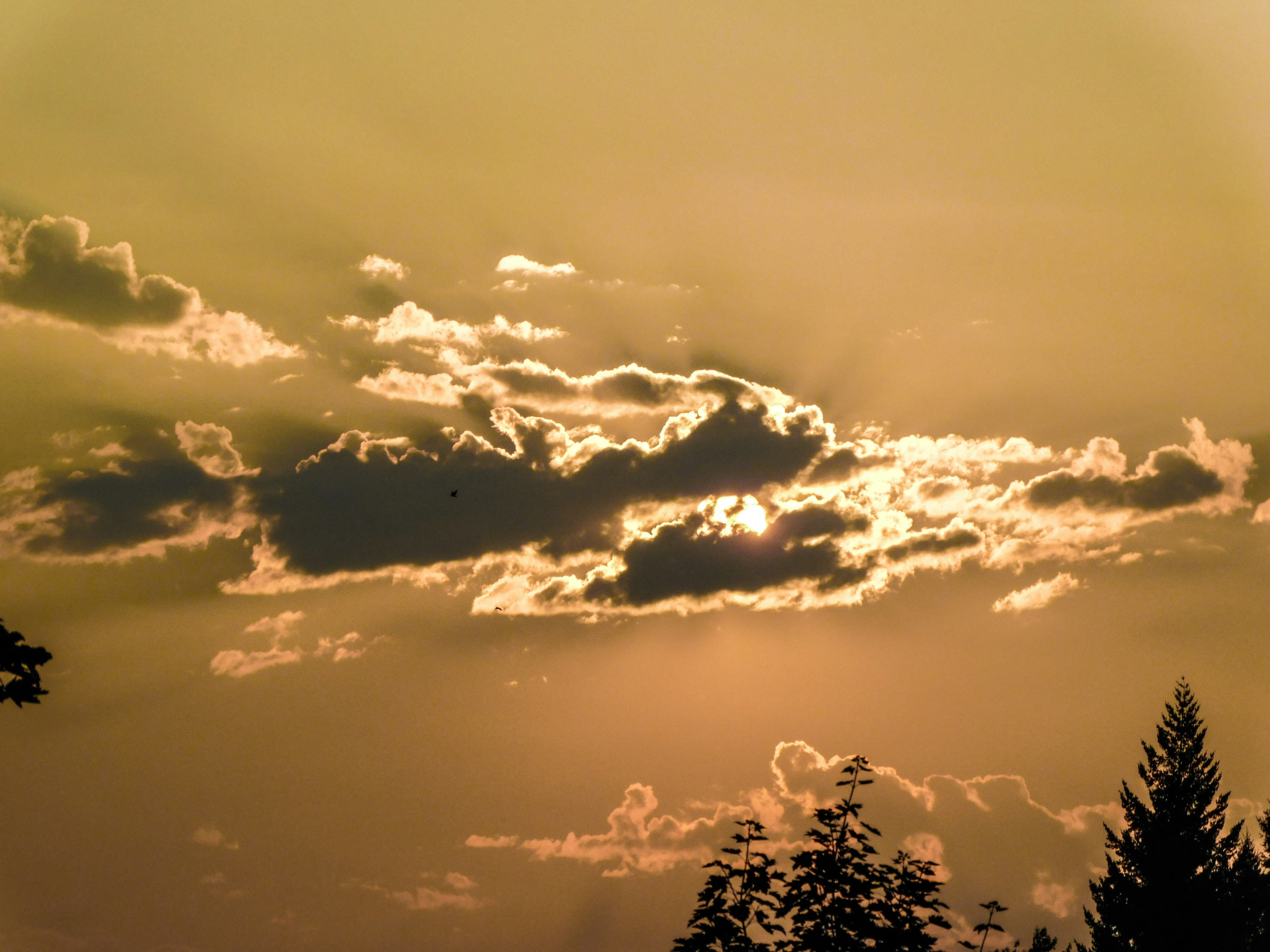 Photo by prphotography262