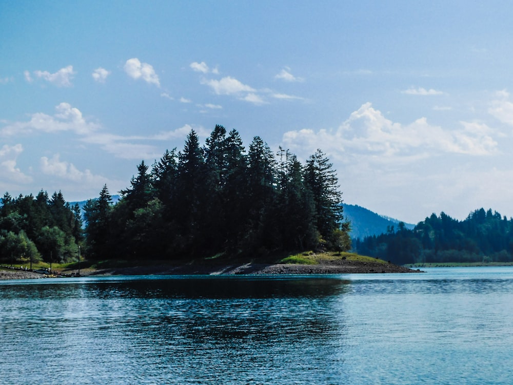 a body of water surrounded by trees and mountains