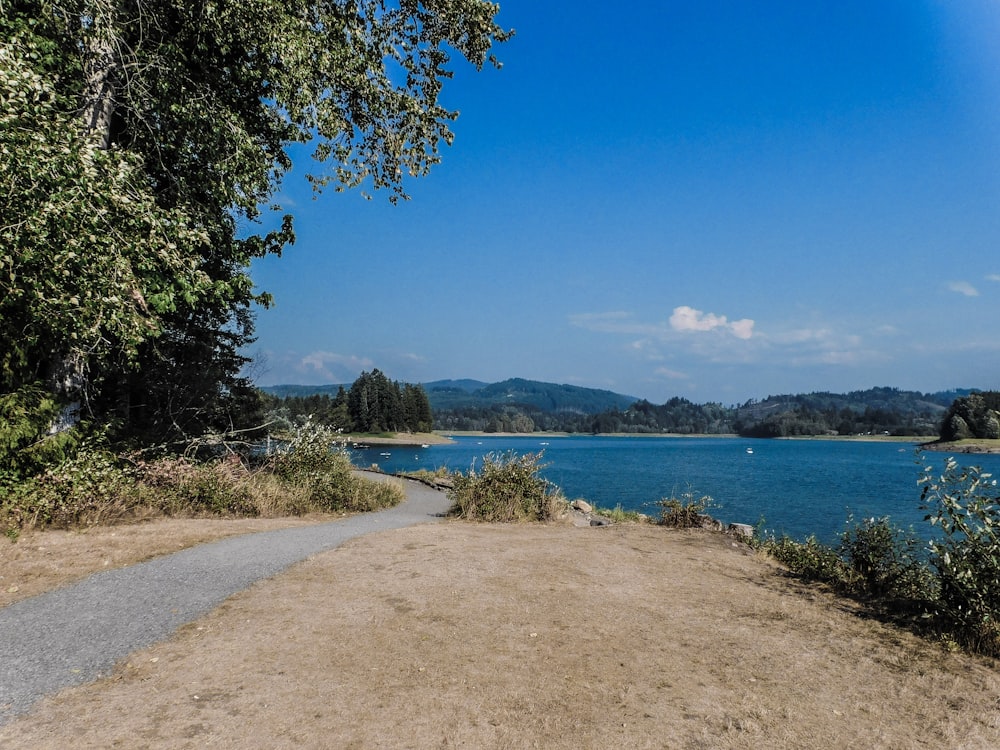 a view of a body of water from a path