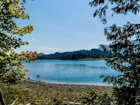 A tranquil lakeside scene with calm water bordered by pebbled shores and surrounded by lush greenery. Trees with green and some brown leaves frame the image, while distant hills create a peaceful backdrop under a clear blue sky.