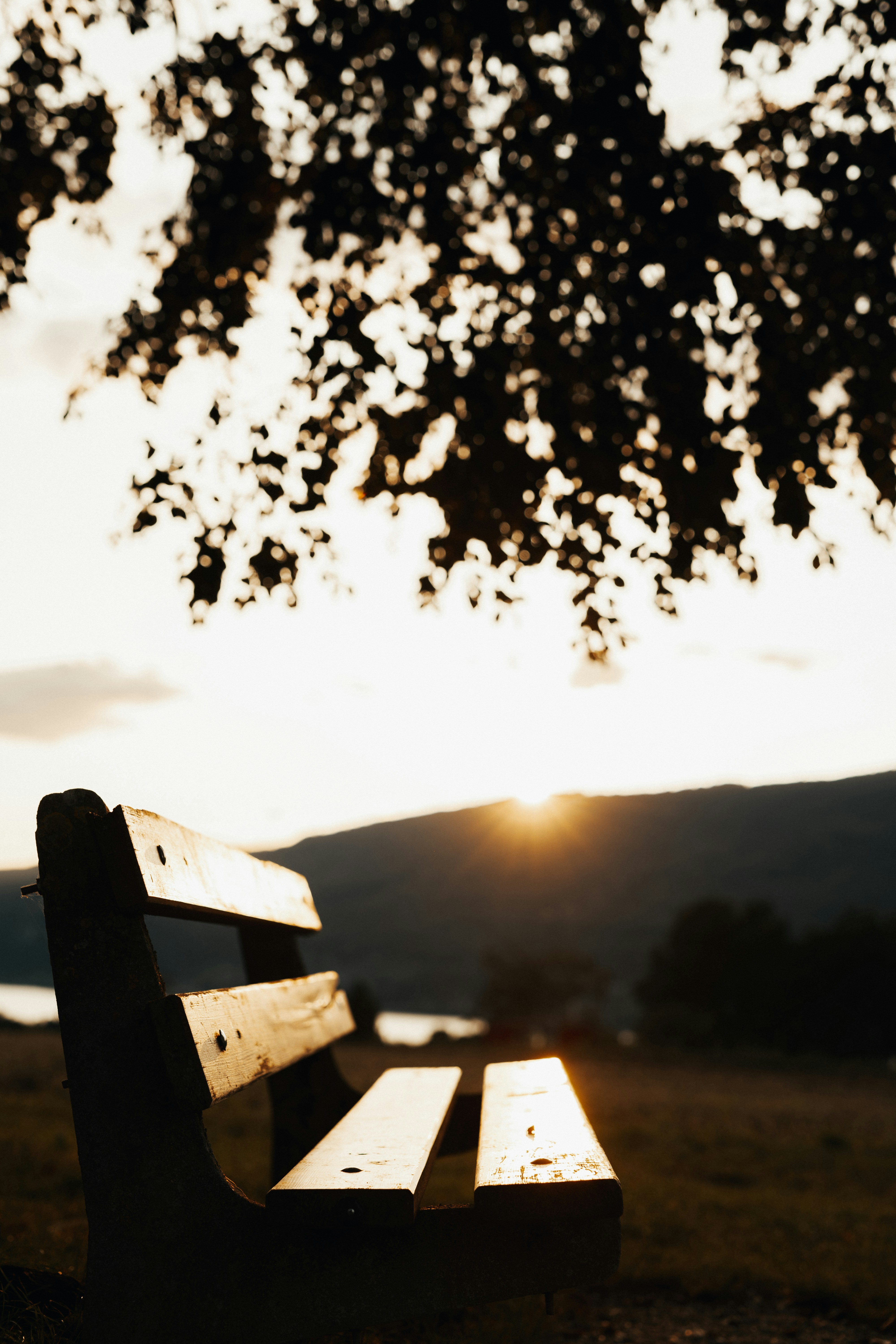 Photo by mono_log