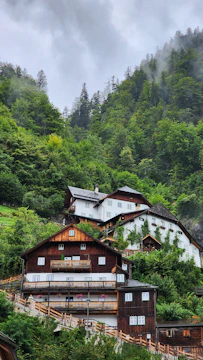 Charming mountain inn surrounded by lush greenery and wooden architecture.