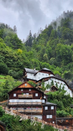 A charming village nestled in lush green mountains, featuring wooden houses with balconies adorned with flowers. The scene is serene with mist rising from the dense forest, creating a peaceful and idyllic atmosphere.