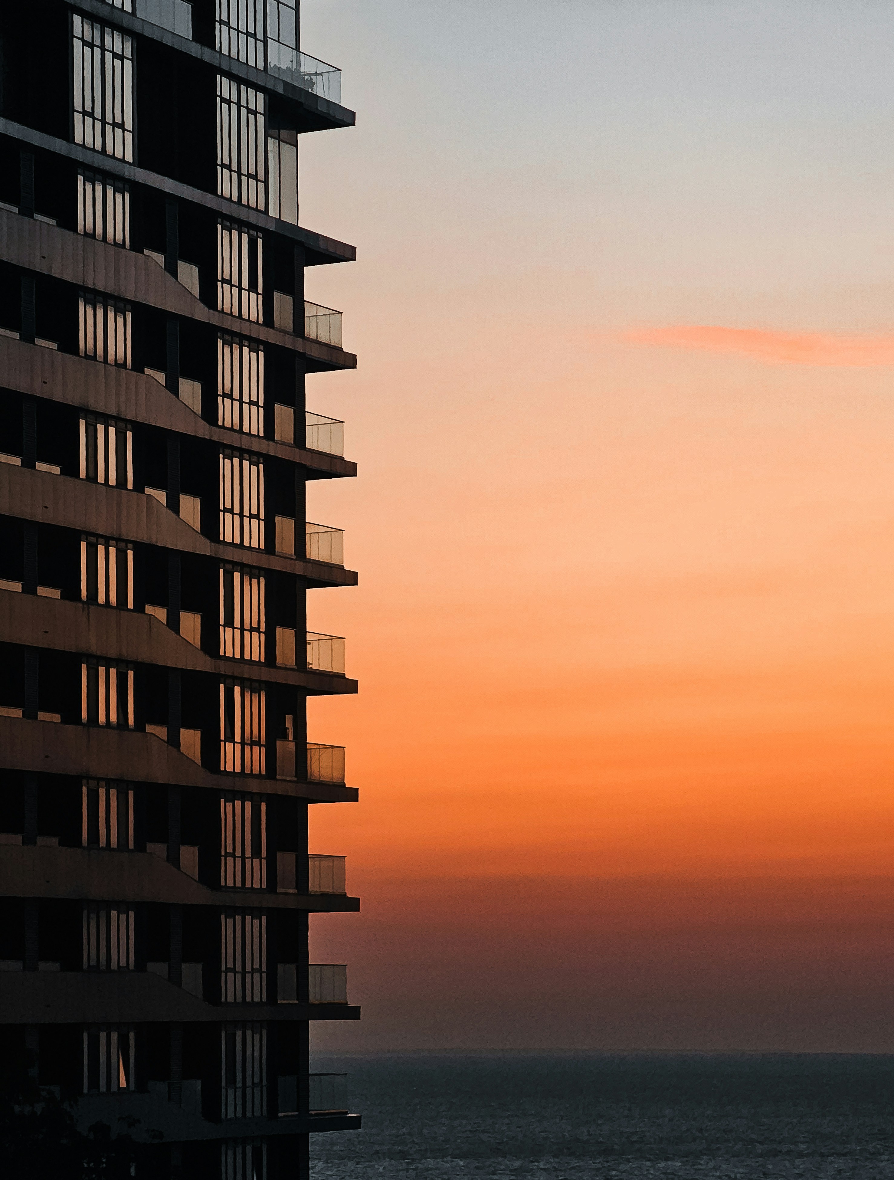 Photo by khodzinskyi