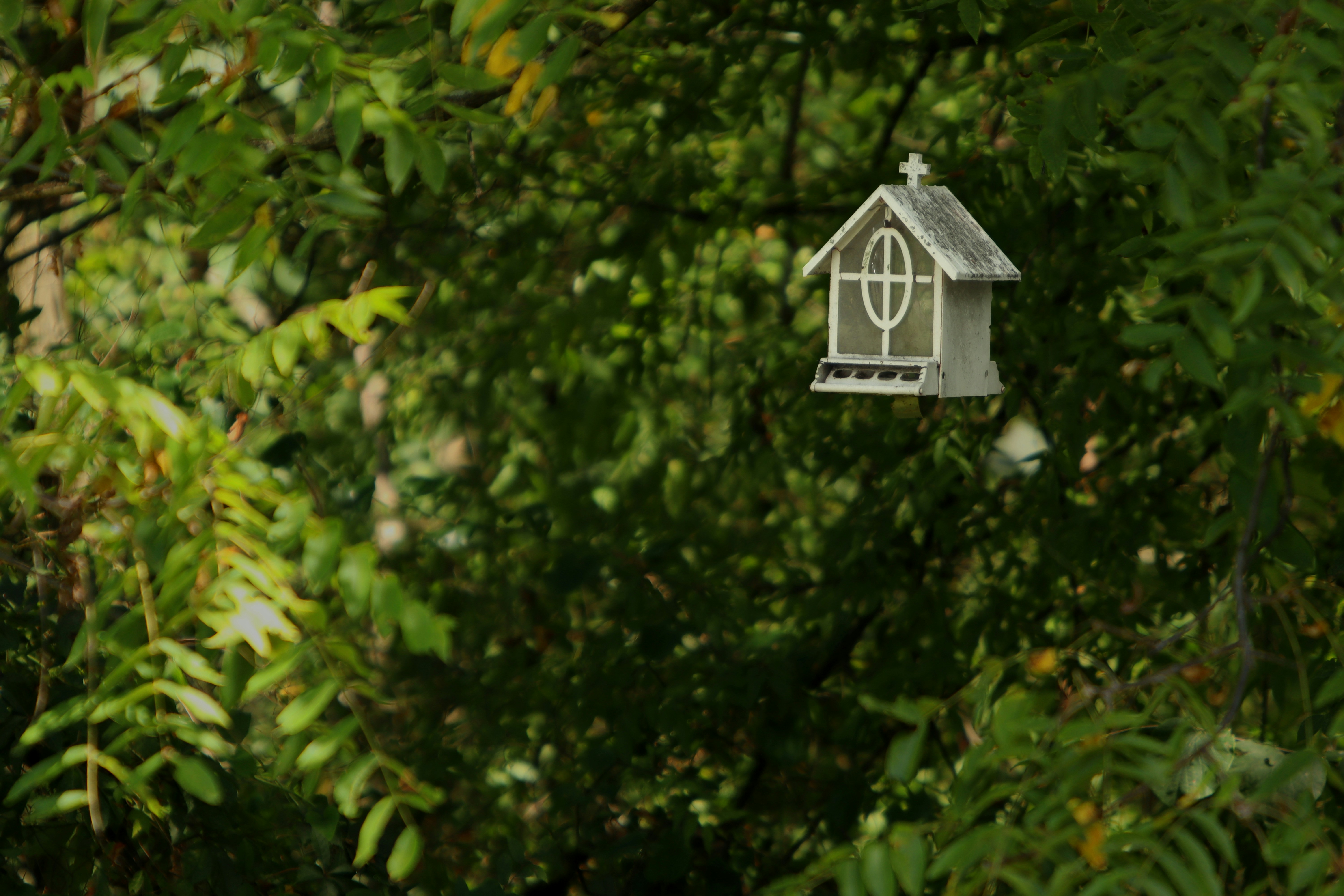 Photo by dizzyphotos