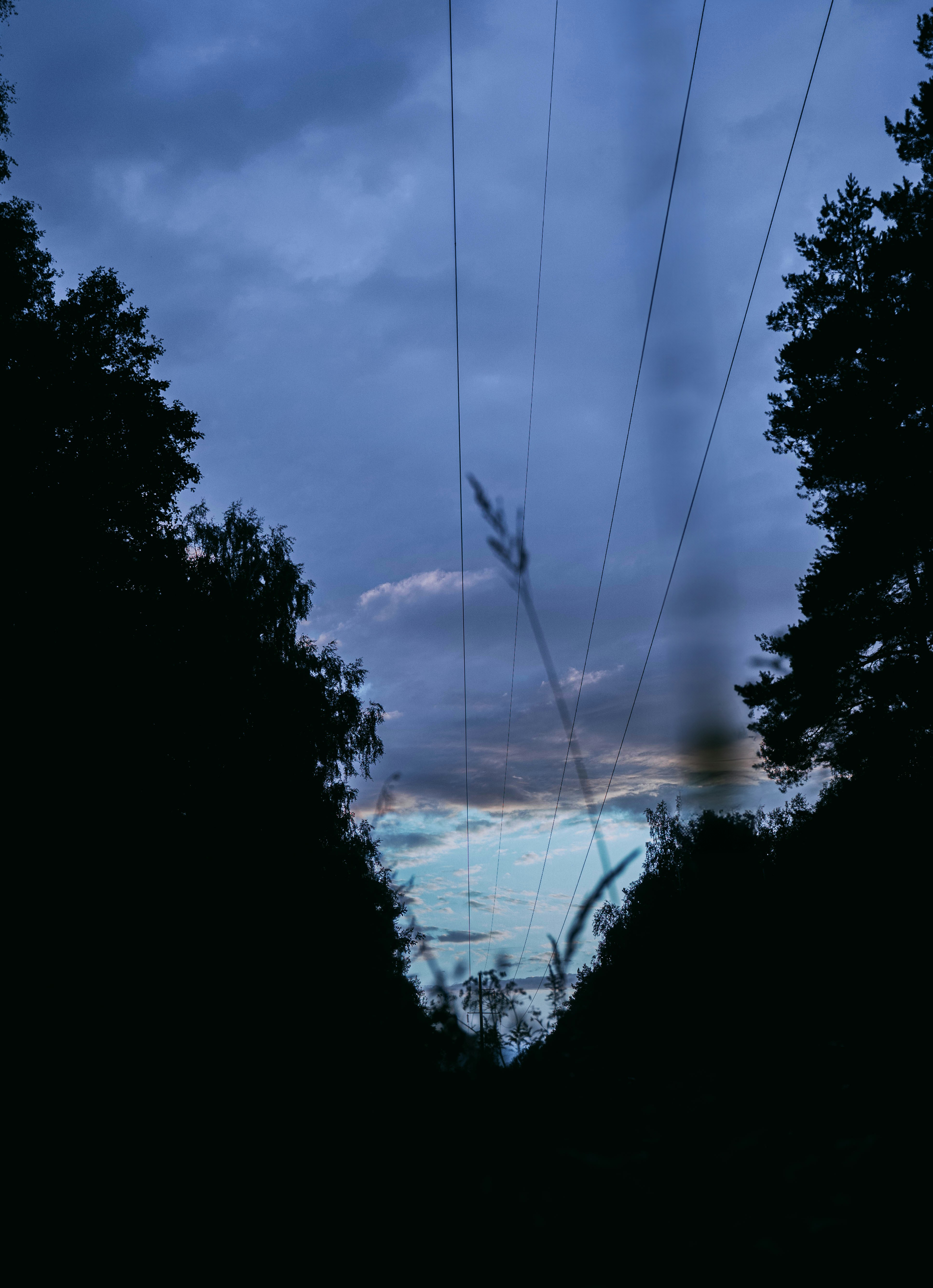 Photo by abalashevsky