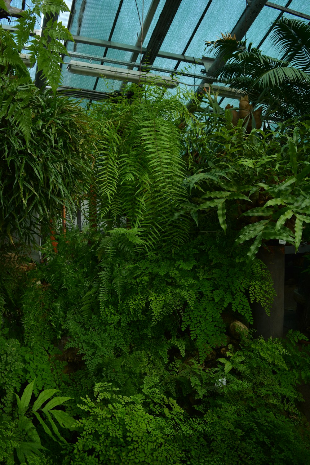 Ein Raum voller grüner Pflanzen