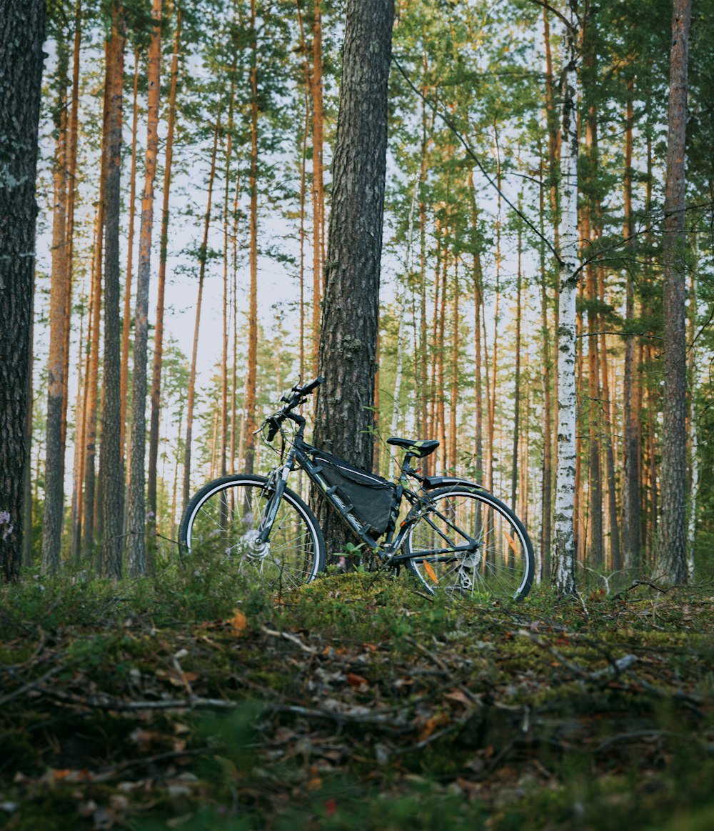 a bicycle parked in the middle of a forest