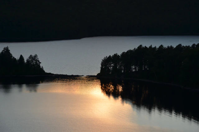 A serene Finnish forest with a calm lake reflecting the sky during golden hour.