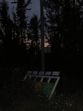 A row of recycling bins situated in a grassy area next to a utility pole, surrounded by dense, tall trees in the background with a dark sky overhead. The setting appears to be during dusk as there is limited light.