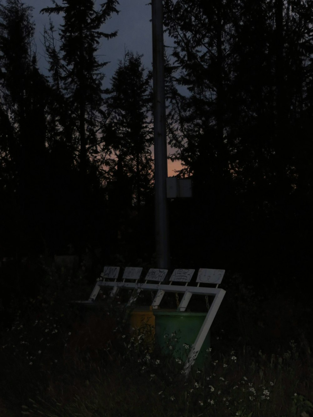 a row of chairs sitting in the middle of a forest