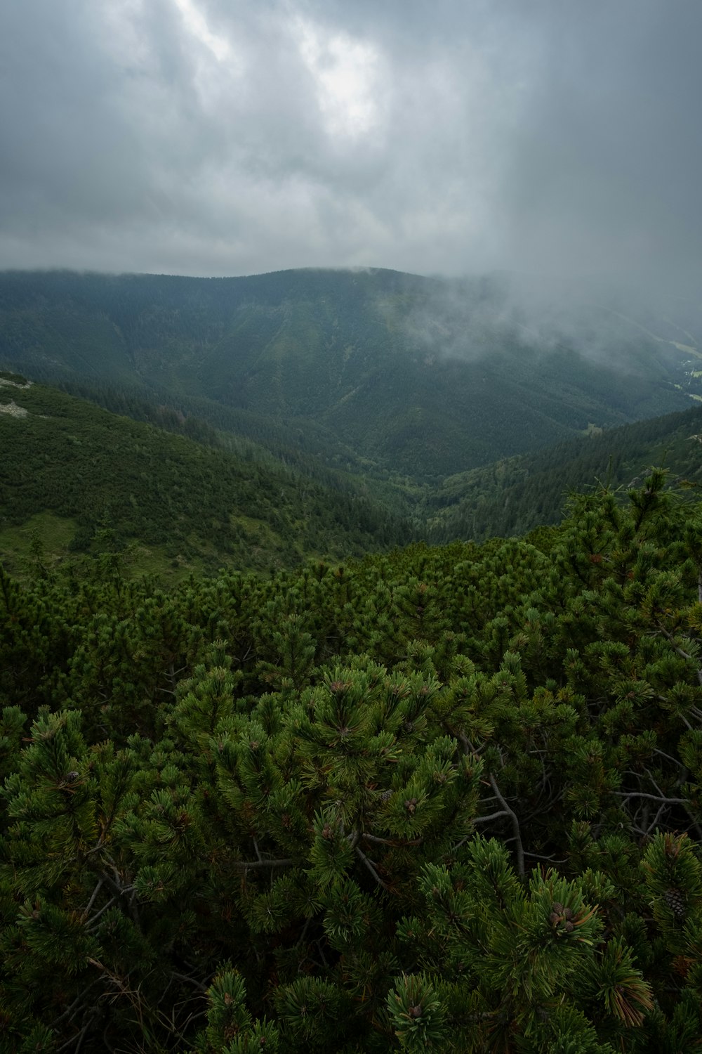 a view of the mountains from a high point of view