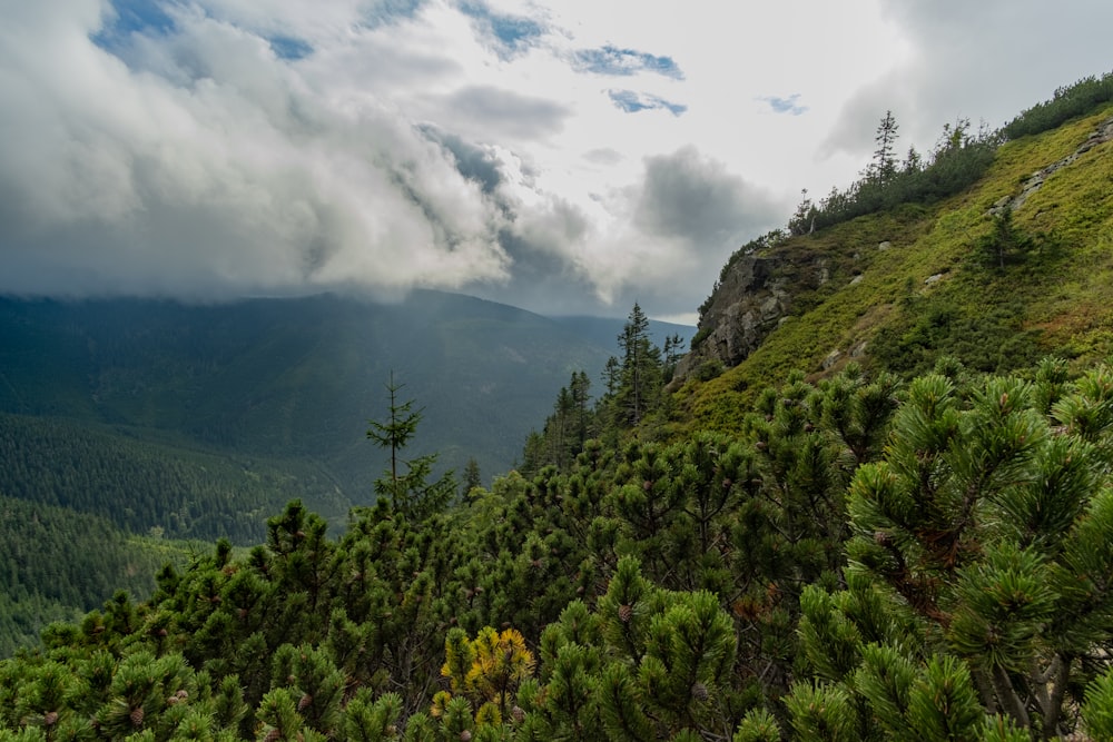 a view of a mountain with trees and clouds