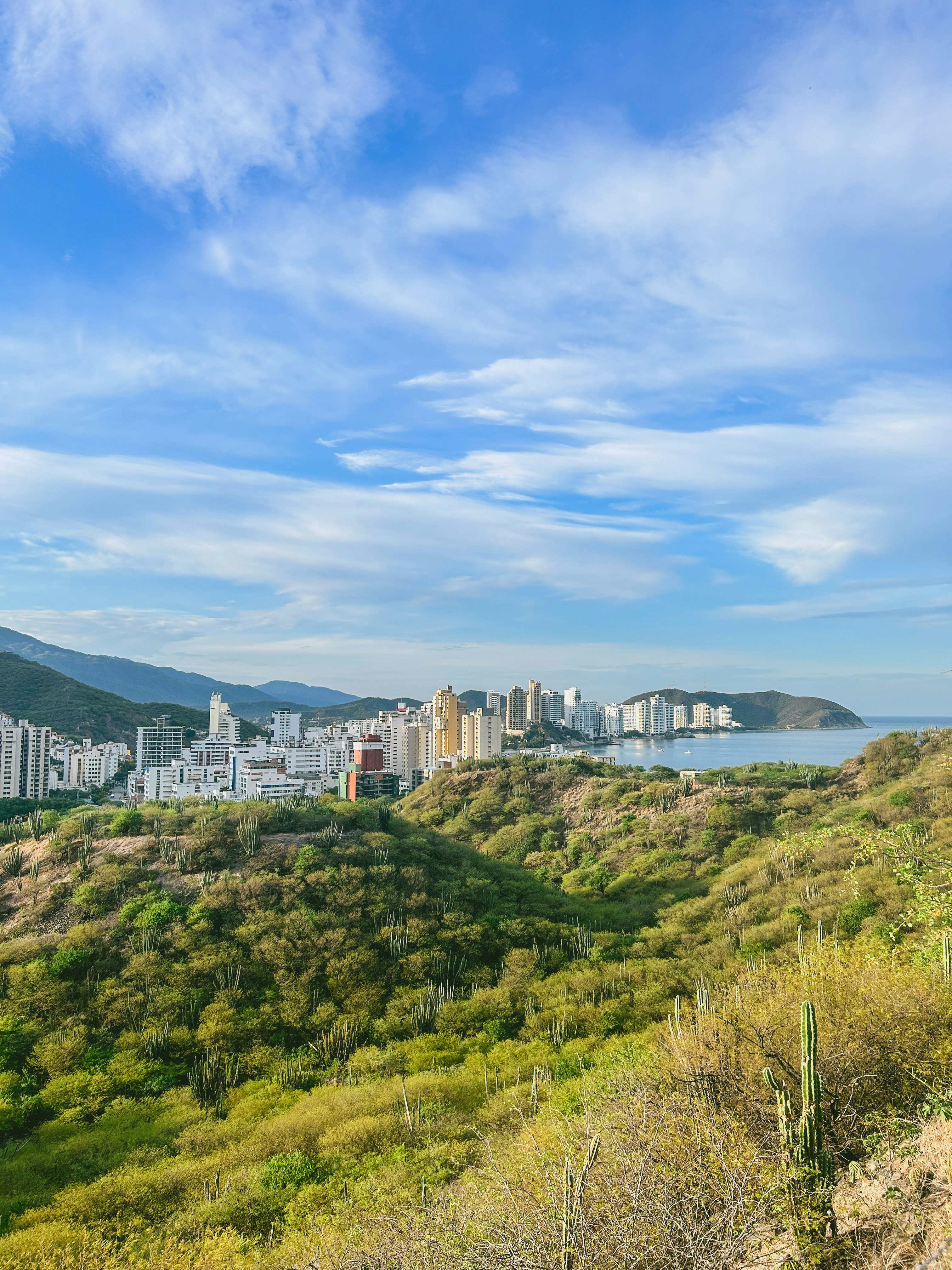 a view of a city from a hill