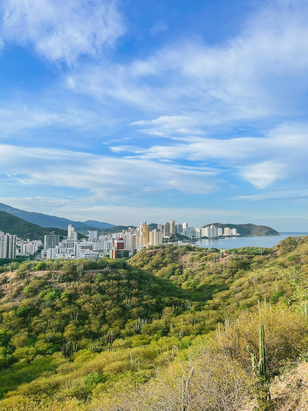 a view of a city from a hill