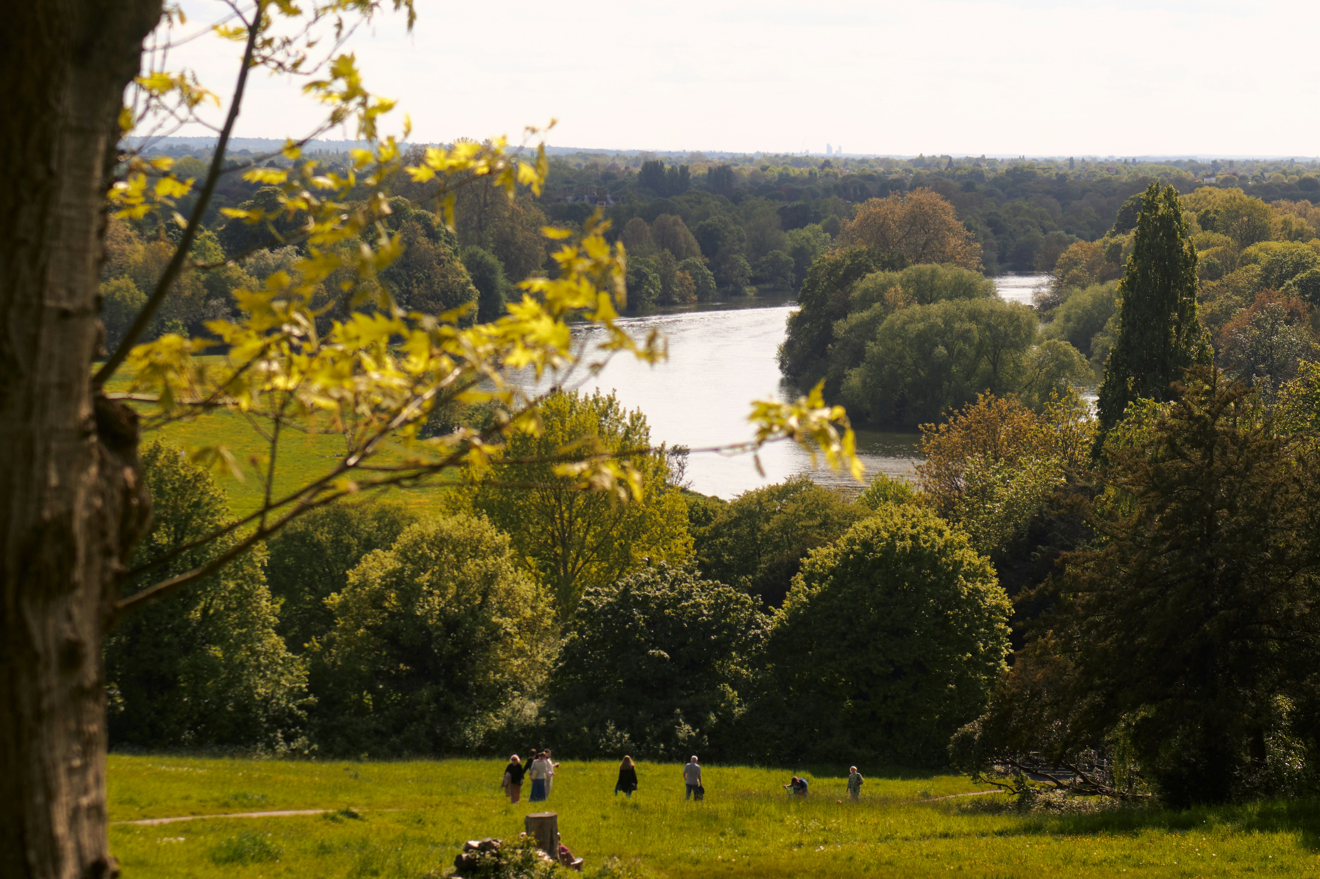 Photo by romanakash27