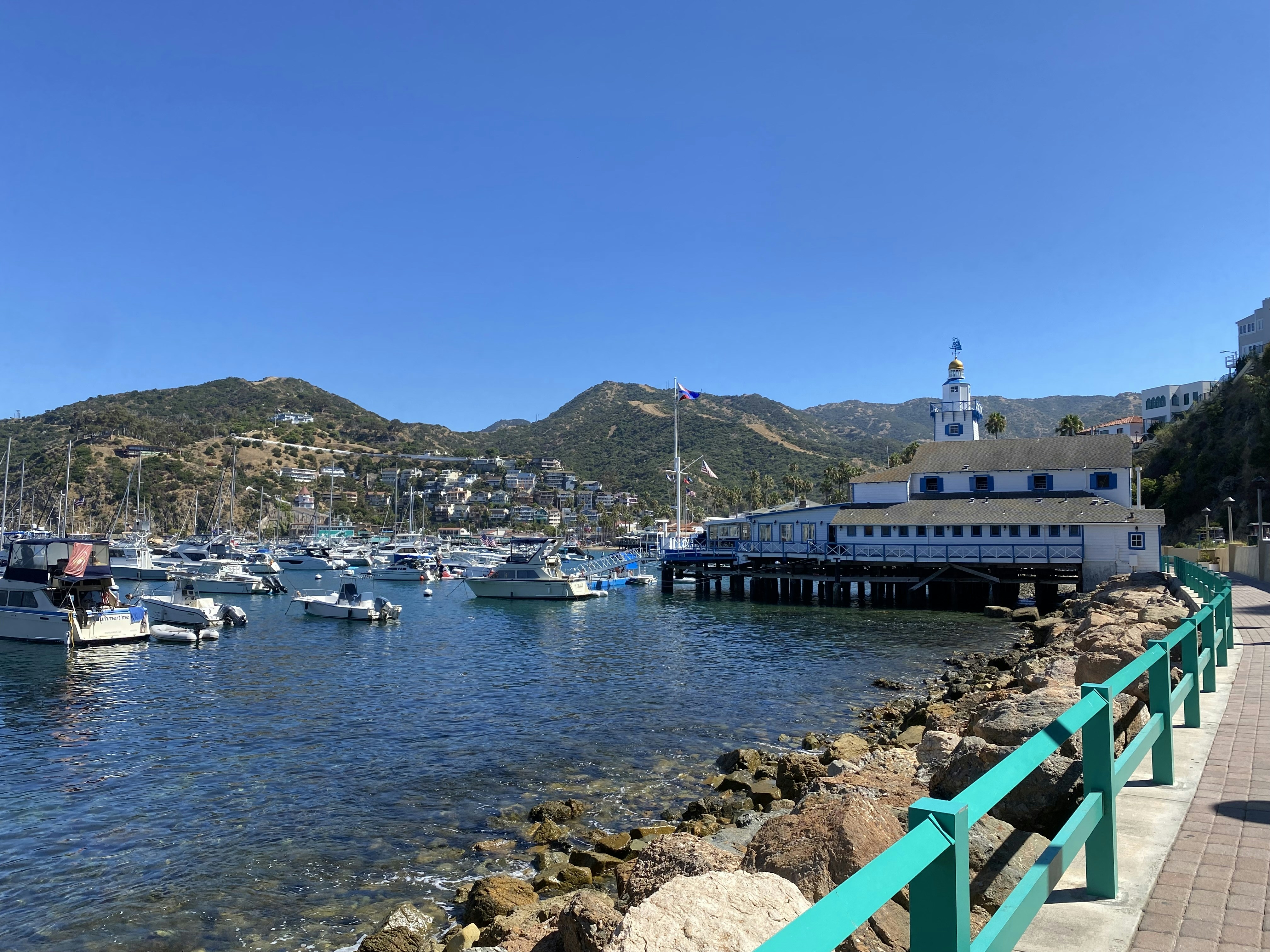 A beautiful harbor filled with boats on a sunny day at Catalina Island California