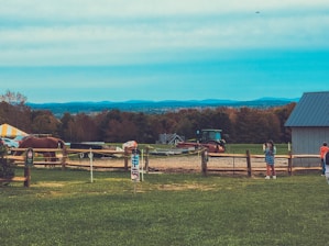 a couple of people that are standing in the grass