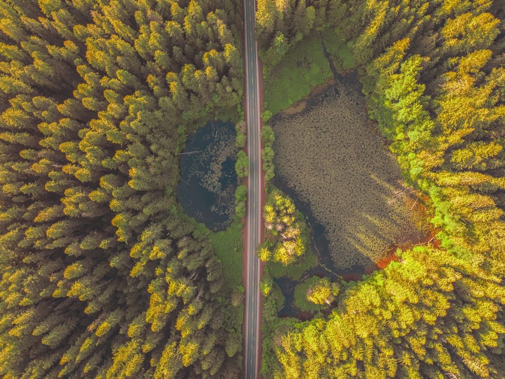 an aerial view of a road in the middle of a forest