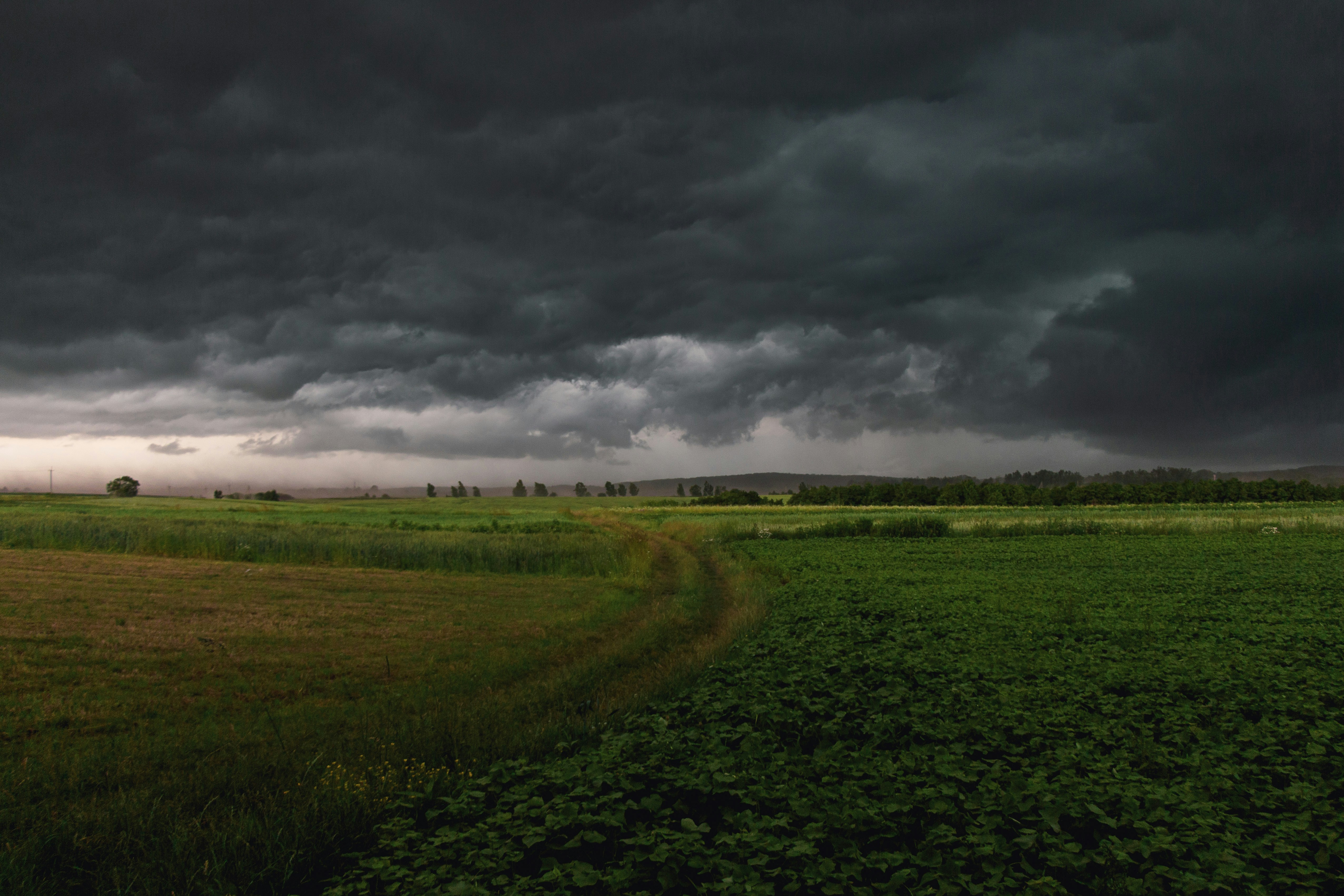 Photo by viktorsmoliak