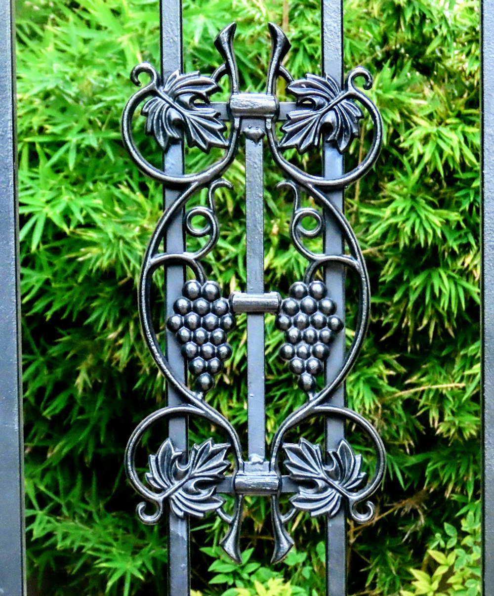 a wrought iron gate with grapes on it