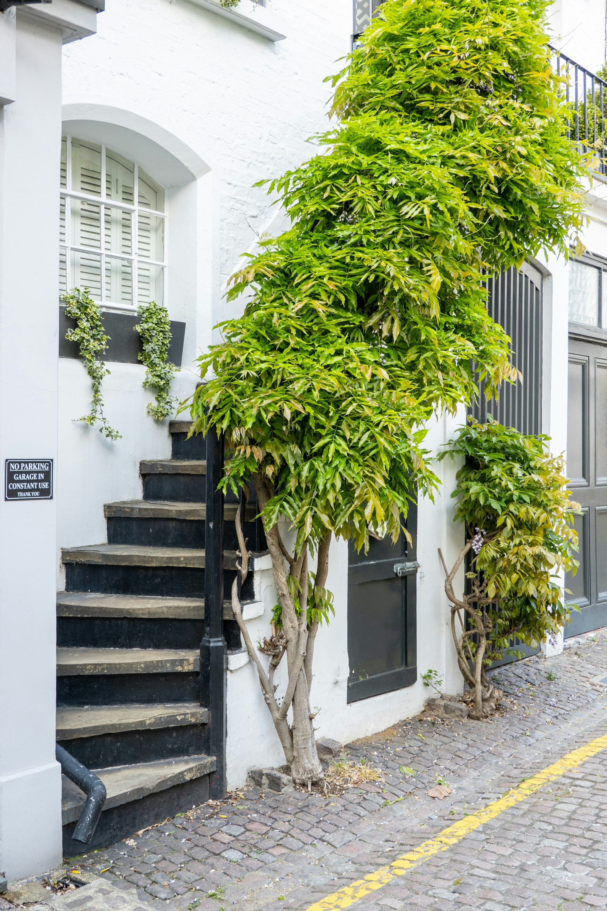 Photo by benjamin_photography