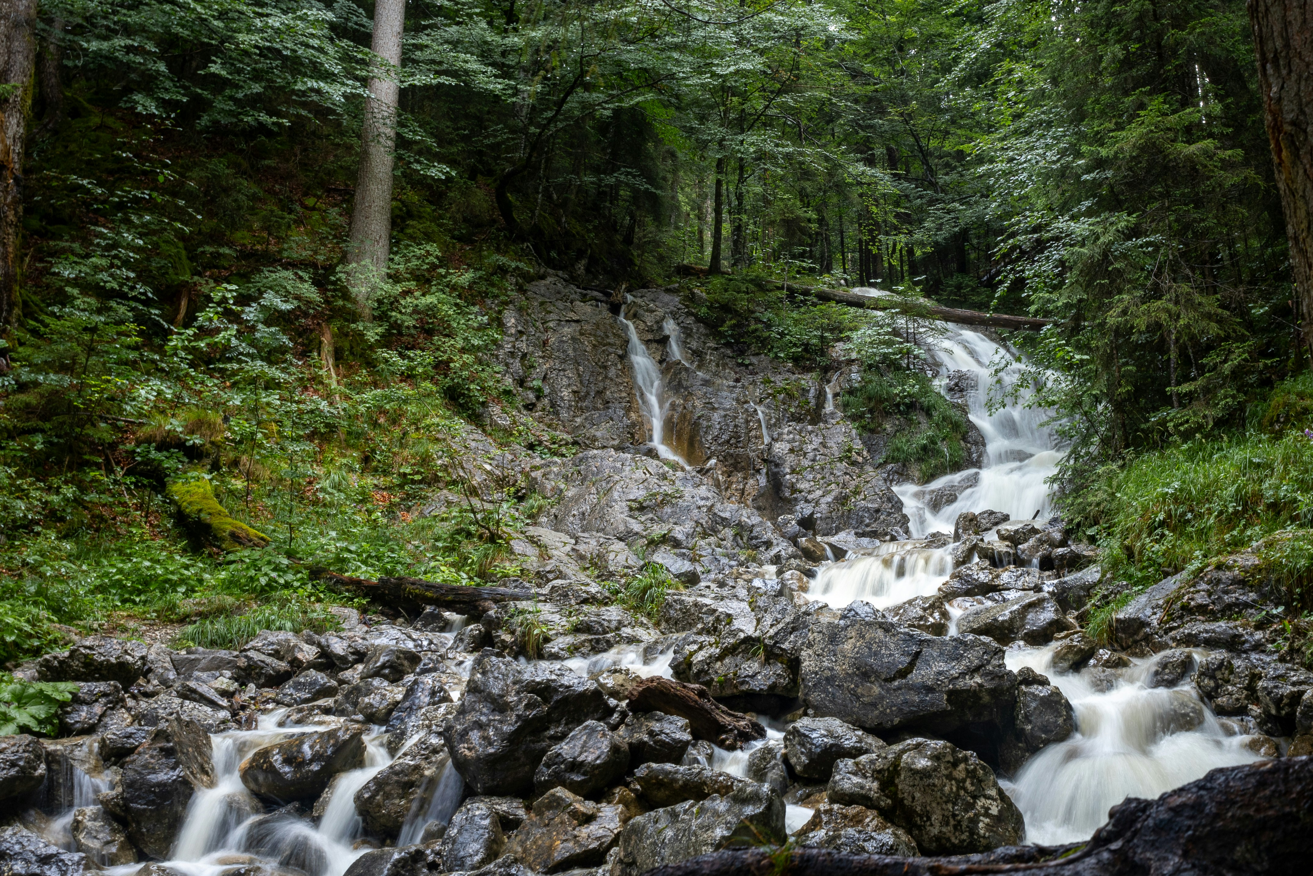 Photo by kneervisuals