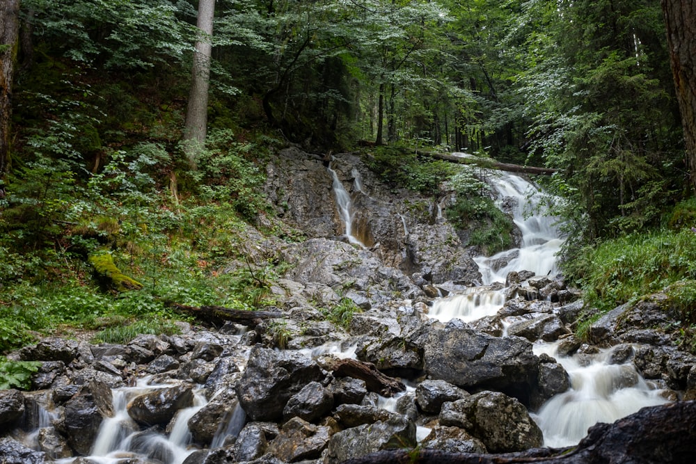 a small waterfall in the middle of a forest