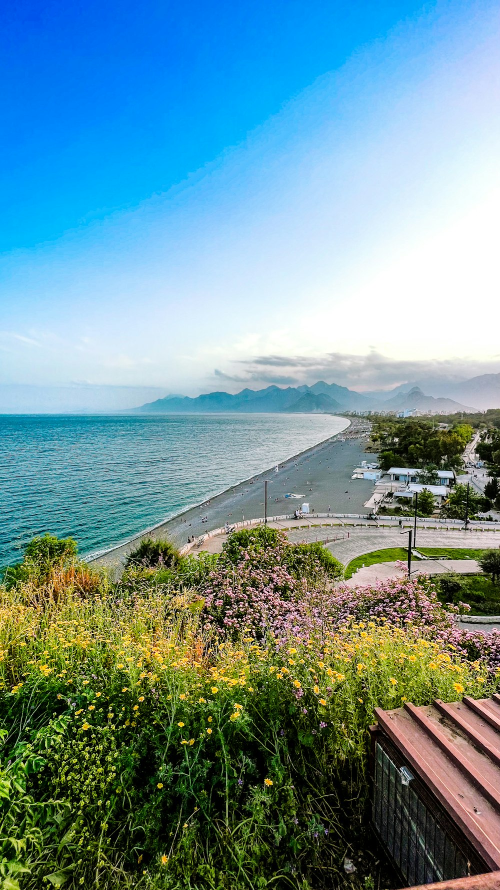 a view of the ocean from the top of a hill