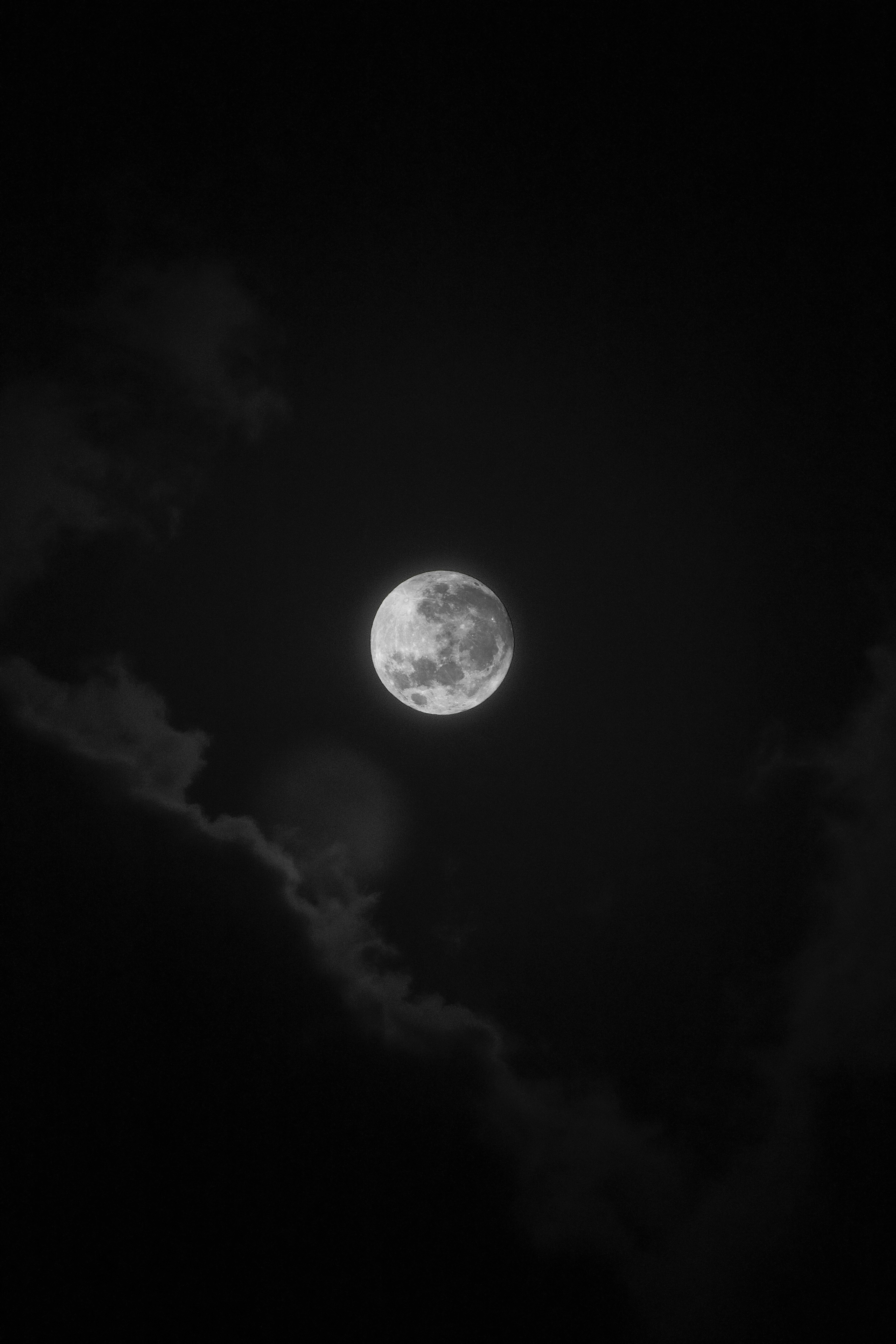 Photo by farid_karimi