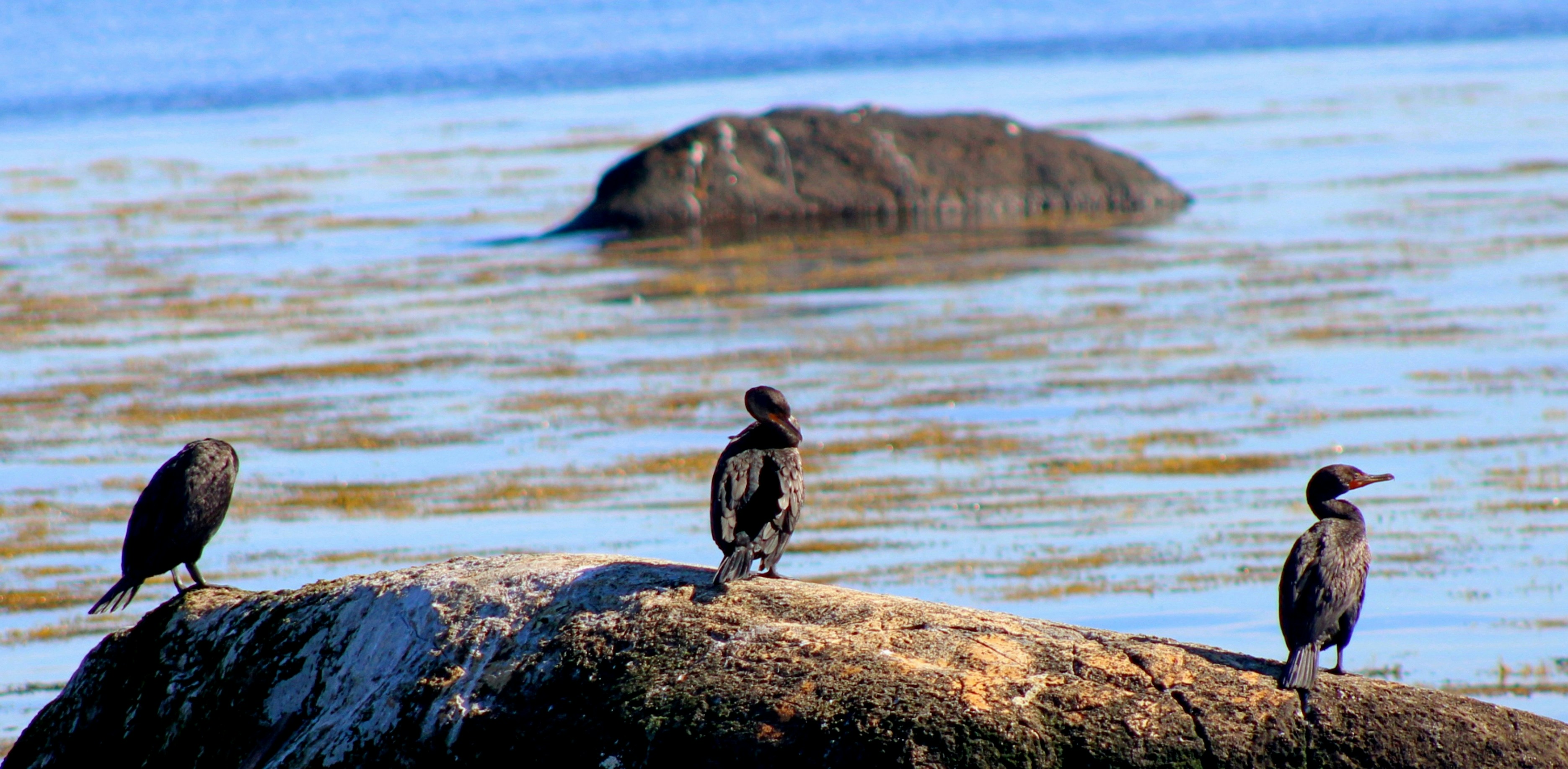 Photo by charles_ray