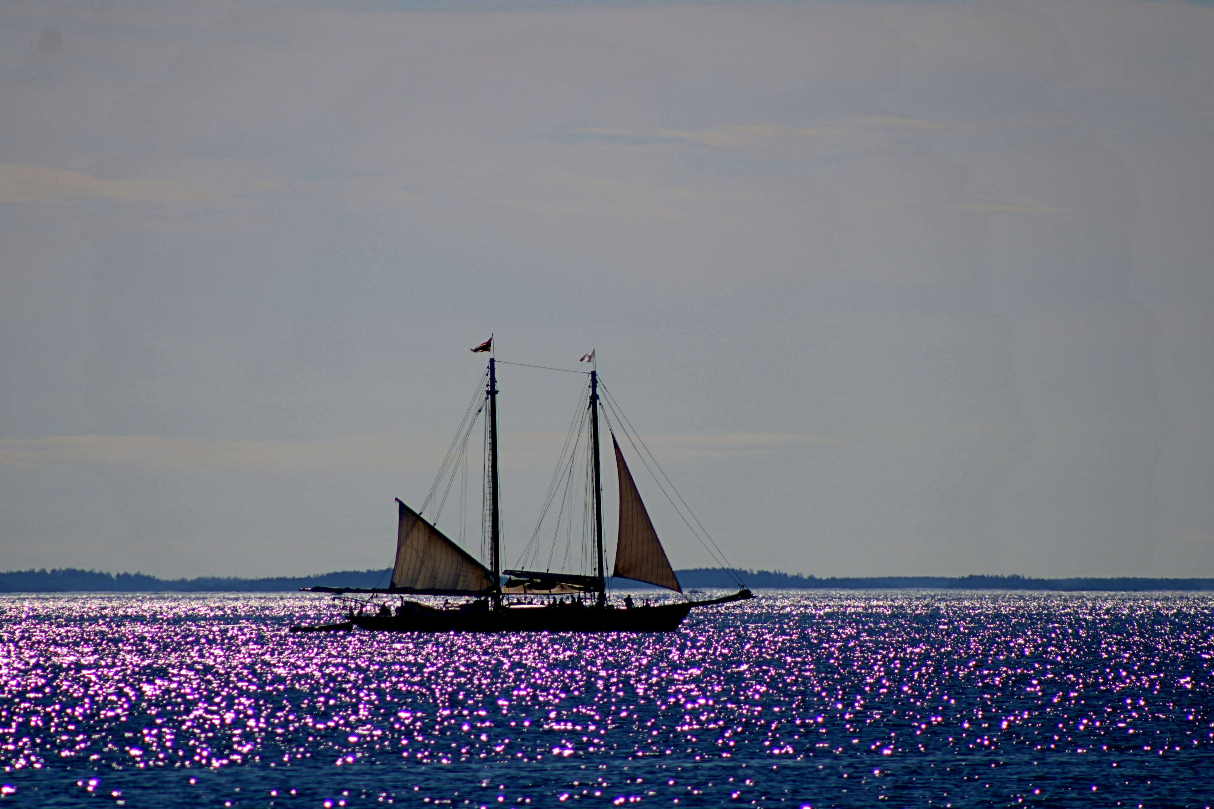 Photo by charles_ray