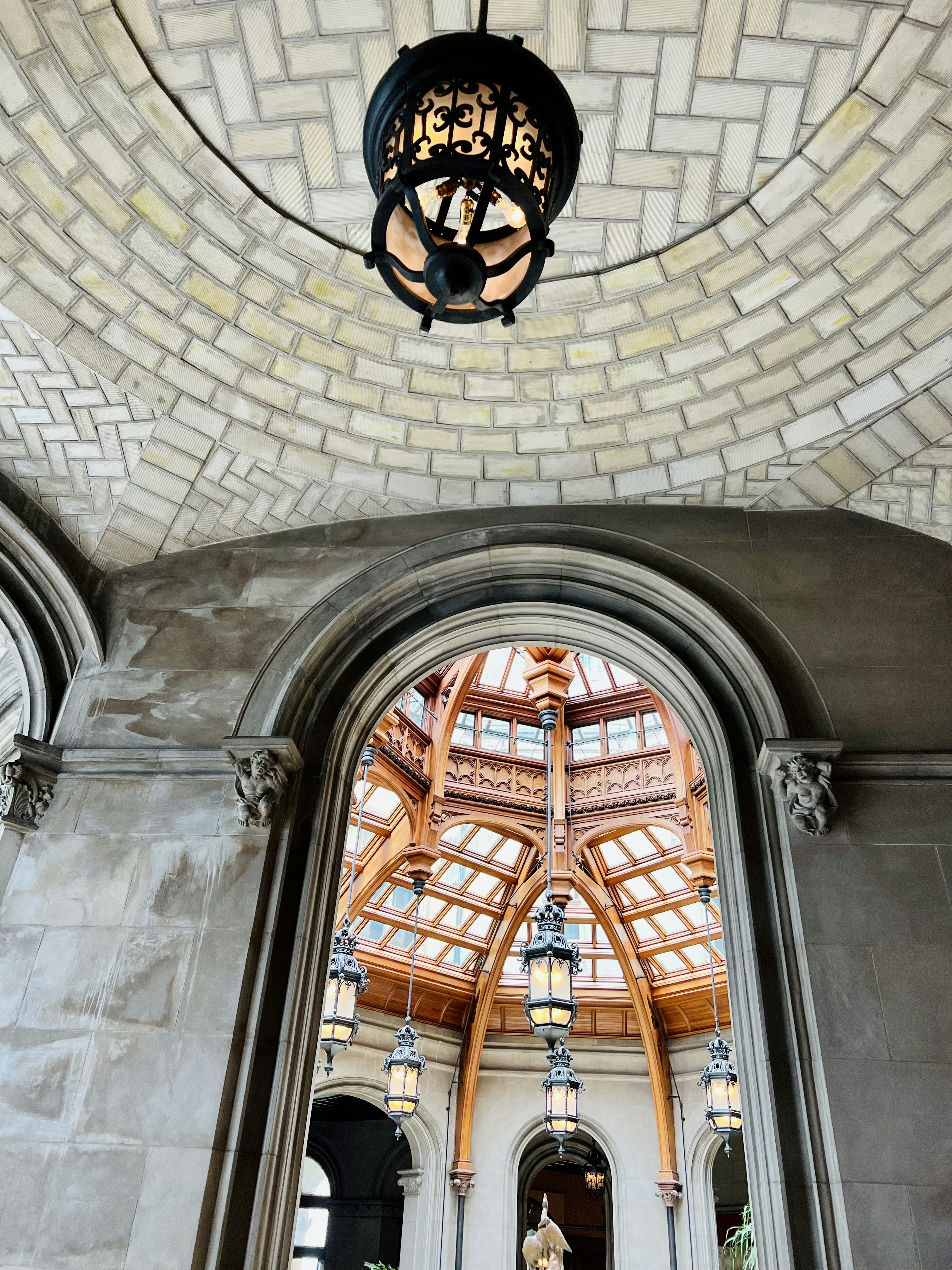 A view of the inside of a large building photo – Free Cat Image on Unsplash