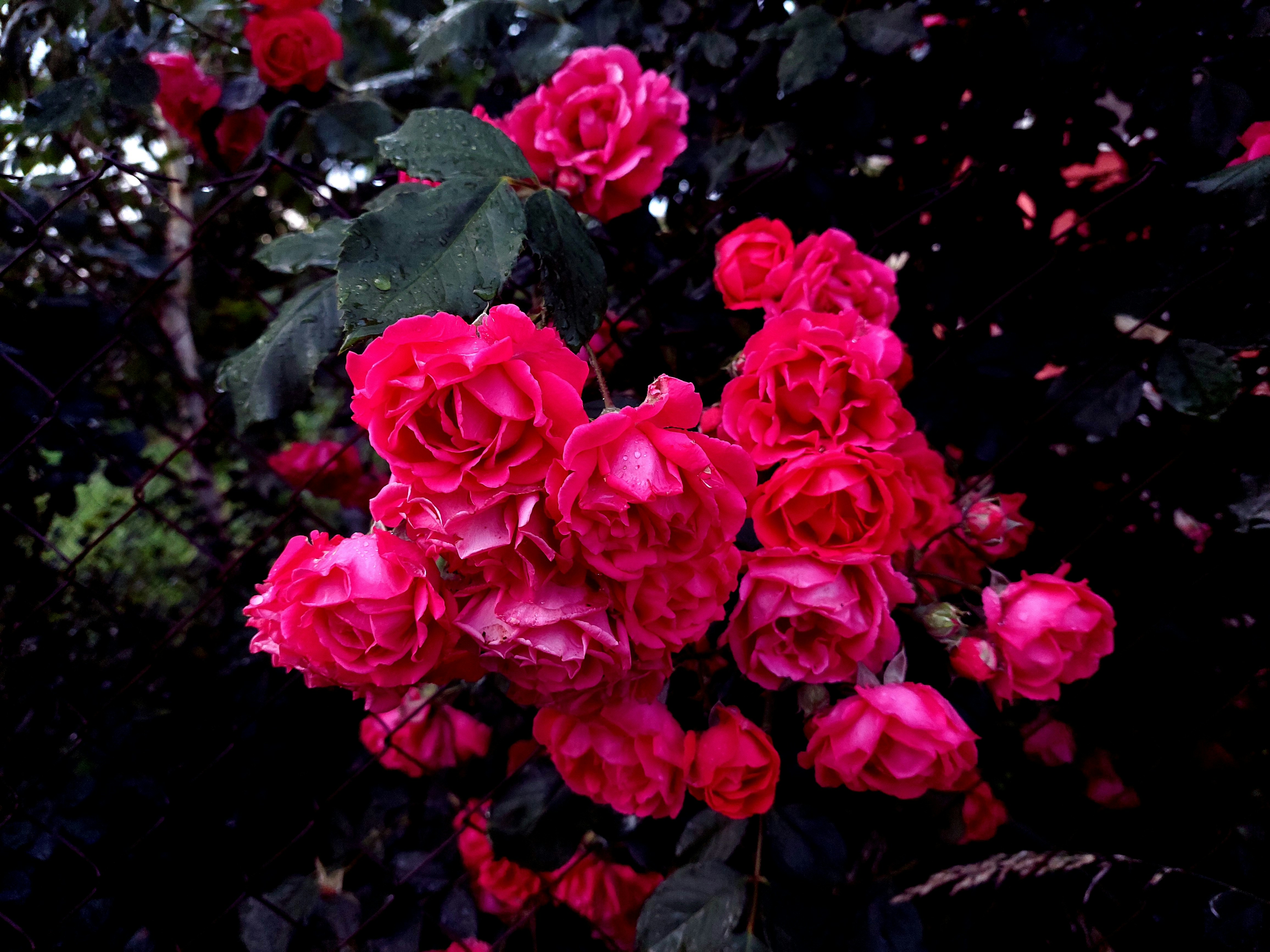 Photo by desislava_ivanova