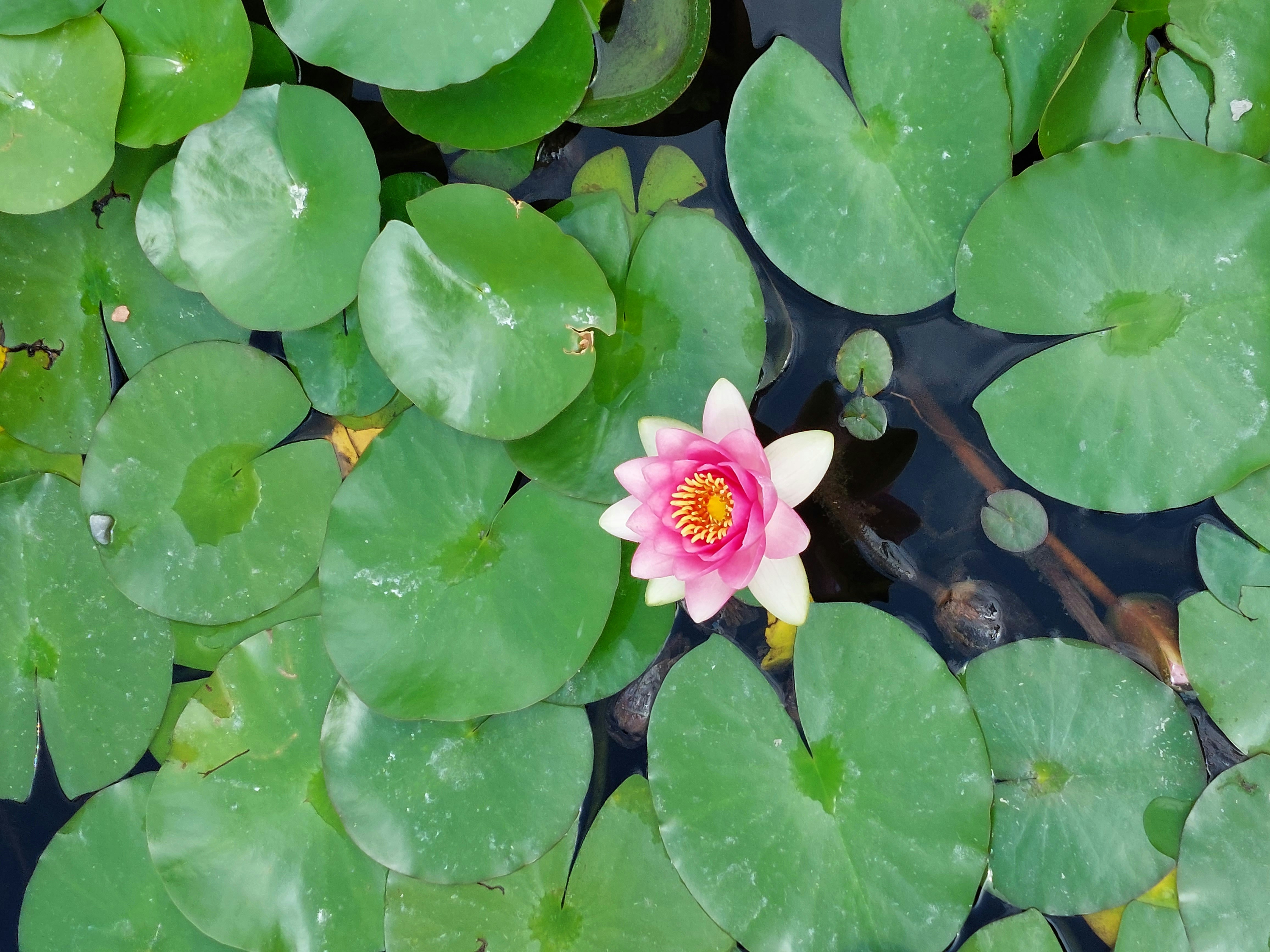 Photo by desislava_ivanova