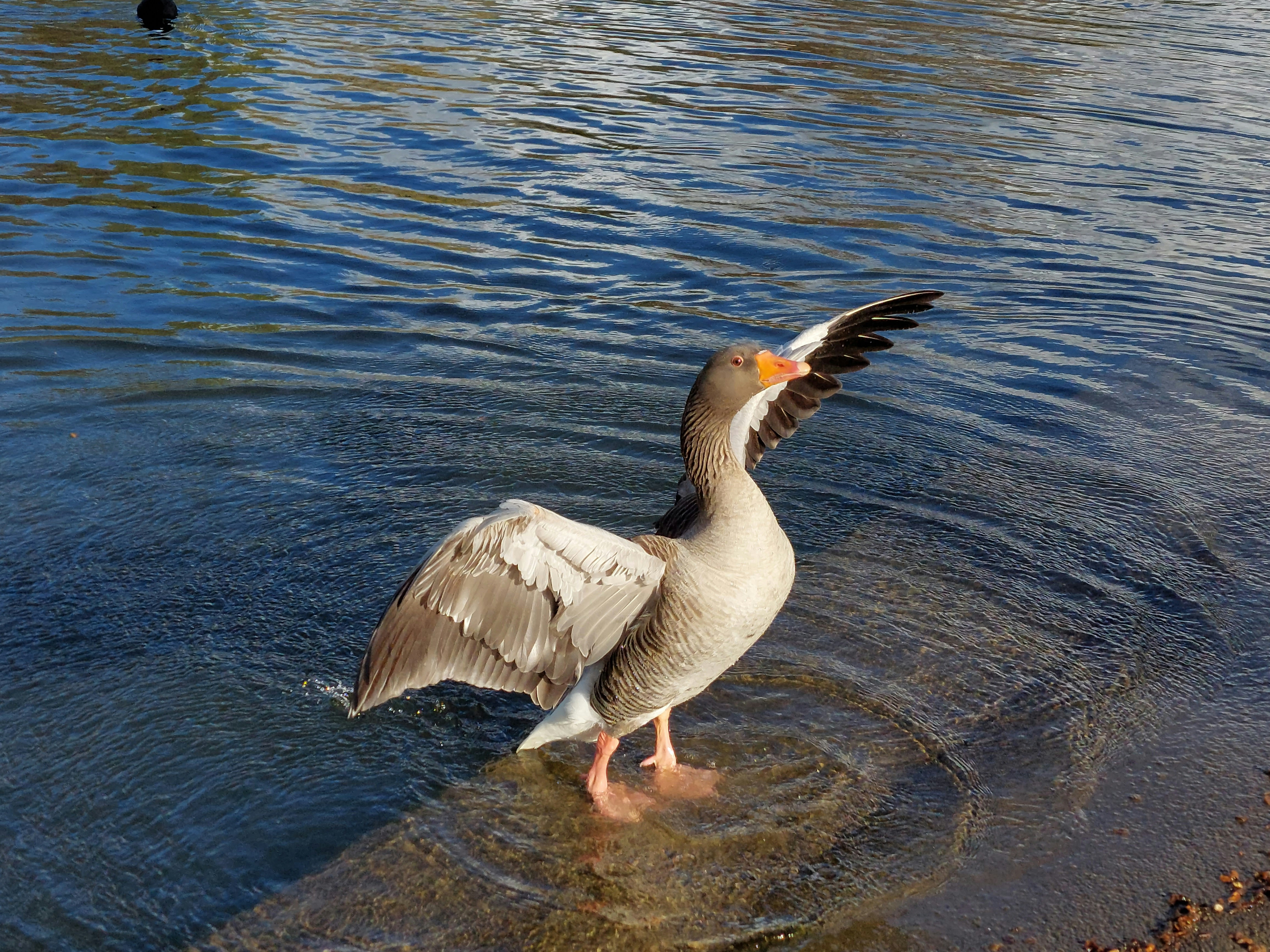 Photo by desislava_ivanova