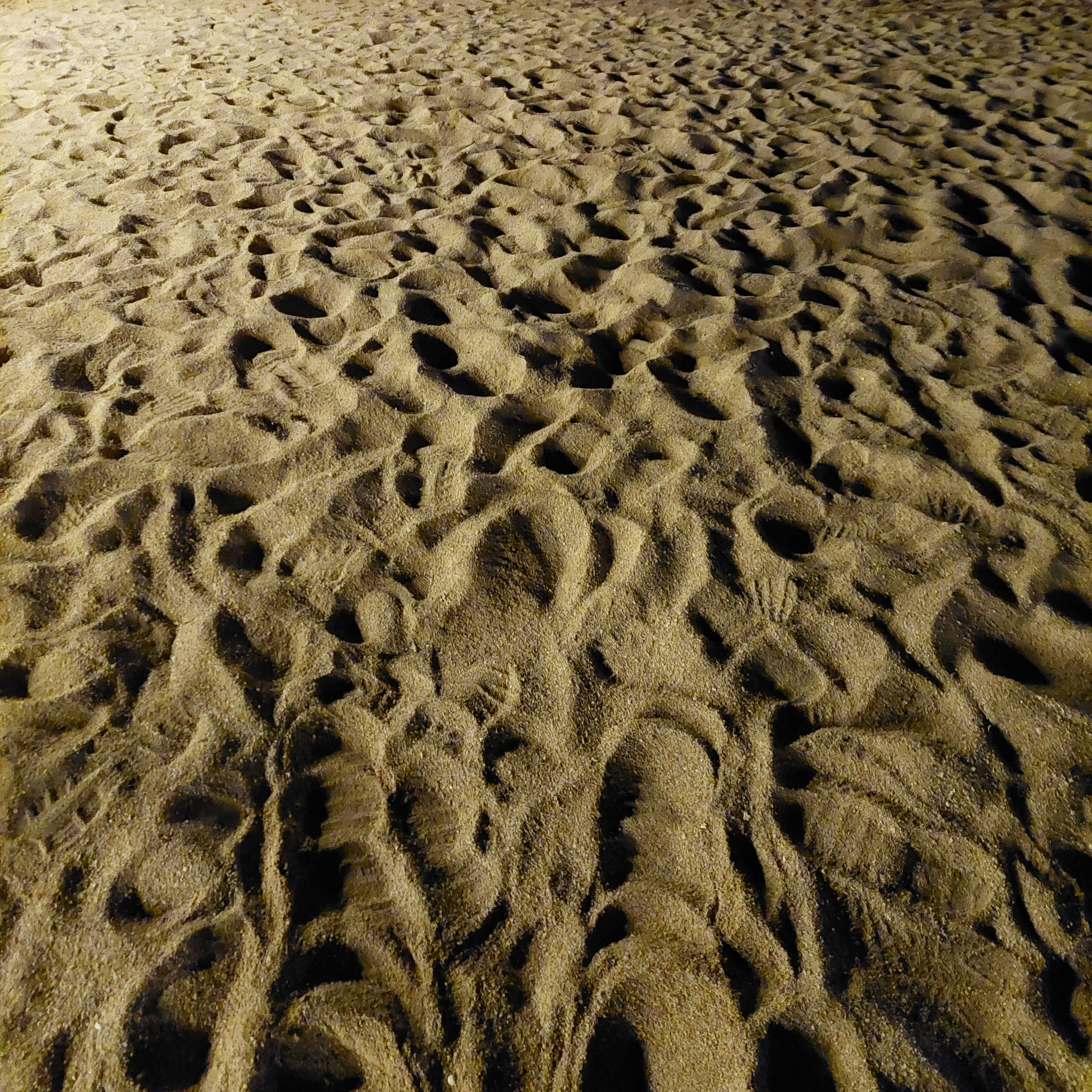 a sandy beach with footprints in the sand