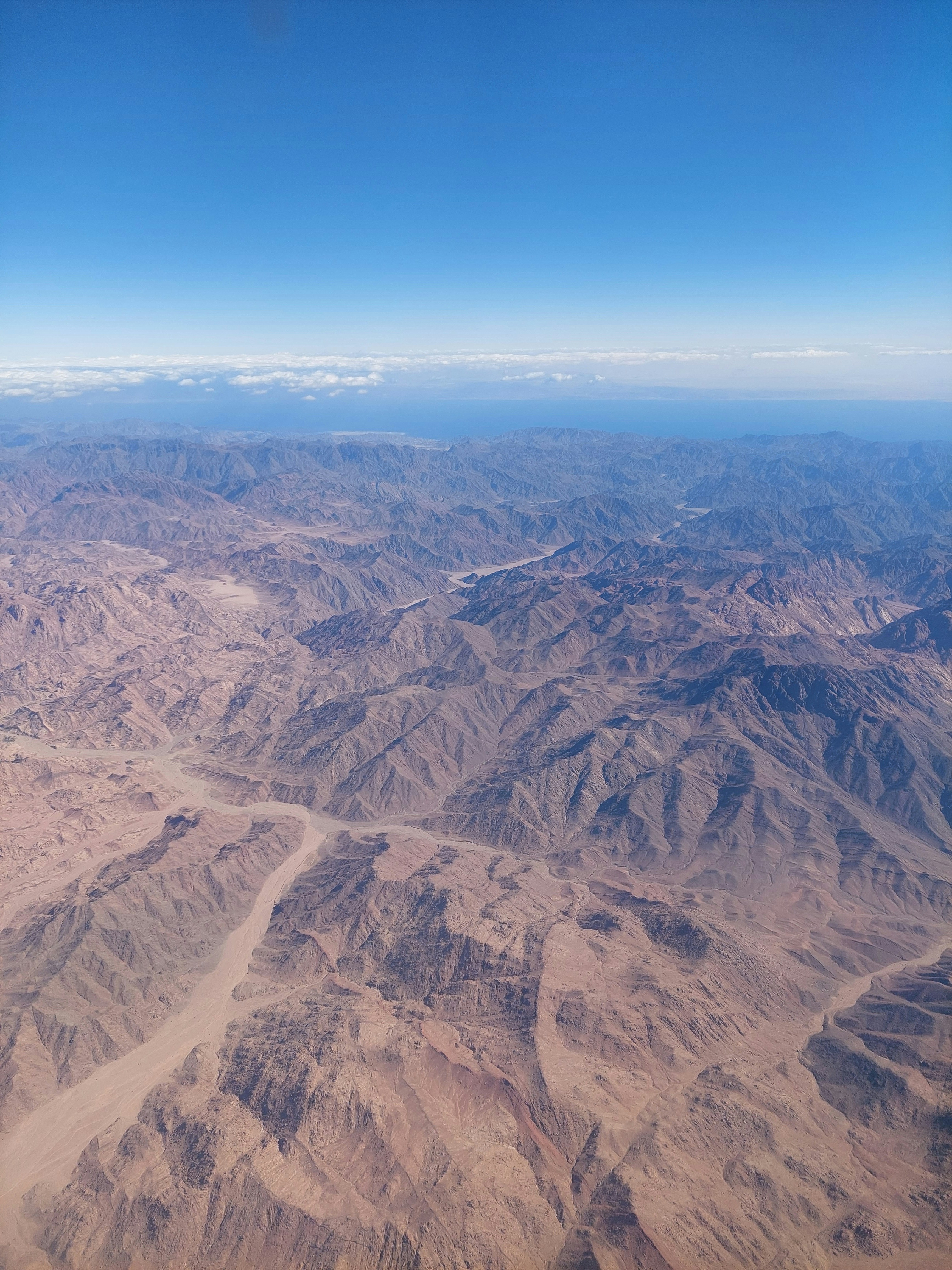 Photo by desislava_ivanova