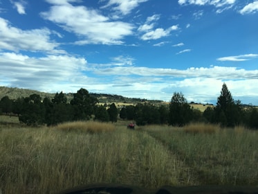 A scenic North Carolina trail with an ATV kicking up dust under a bright blue sky.