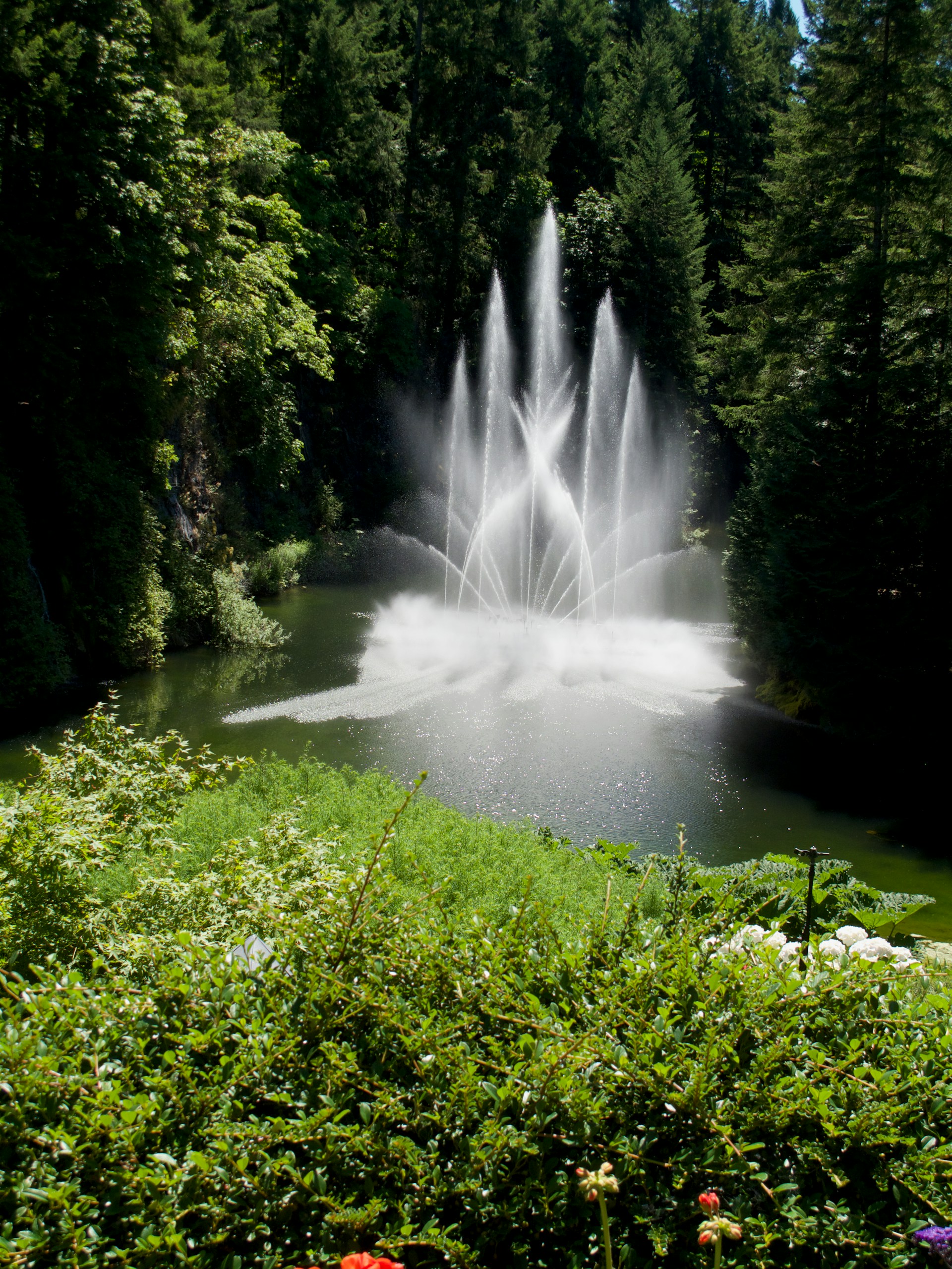 A serene outdoor scene featuring a beautifully crafted marble fountain surrounded by lush greenery.