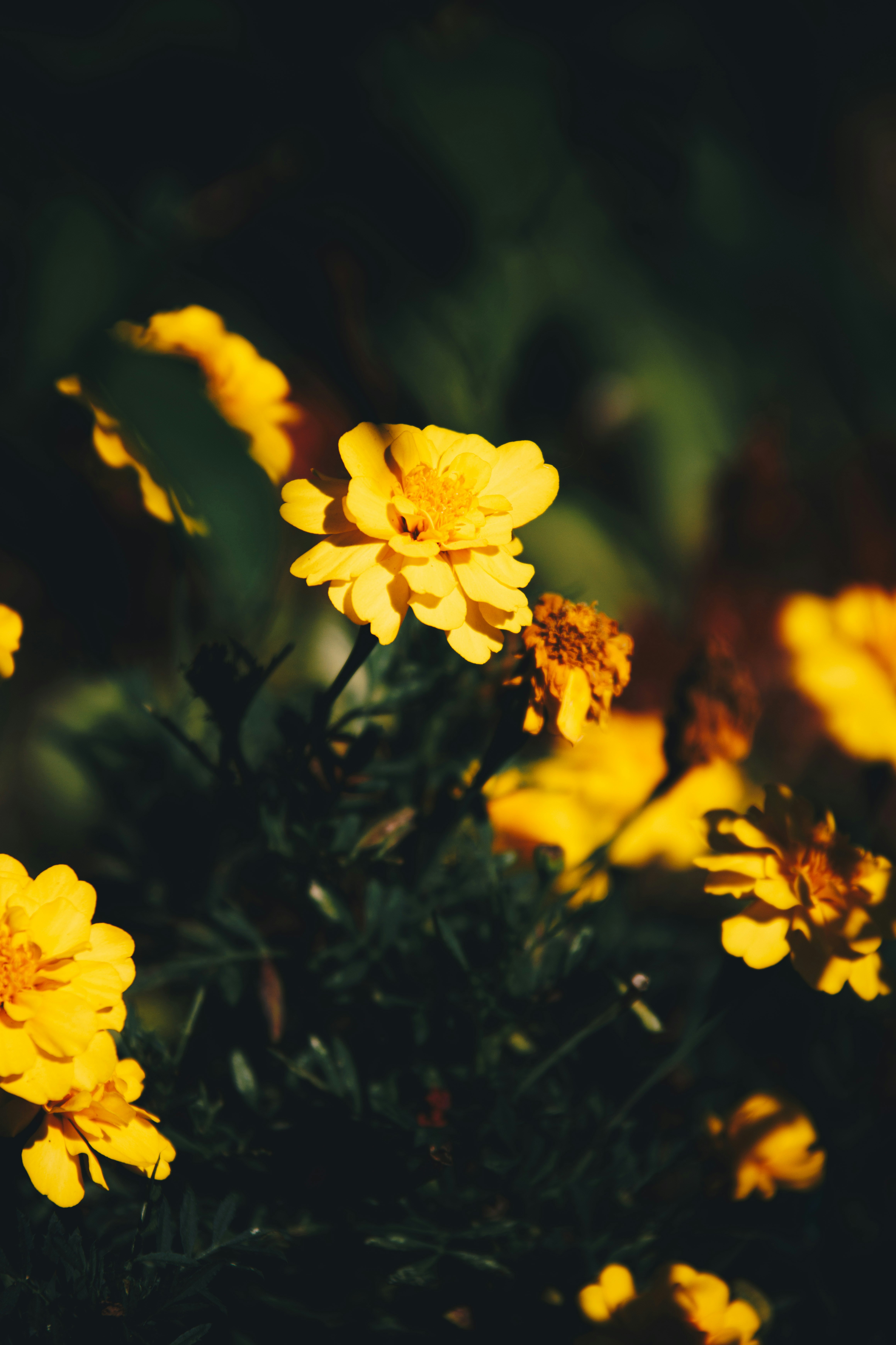 Photo by storywright