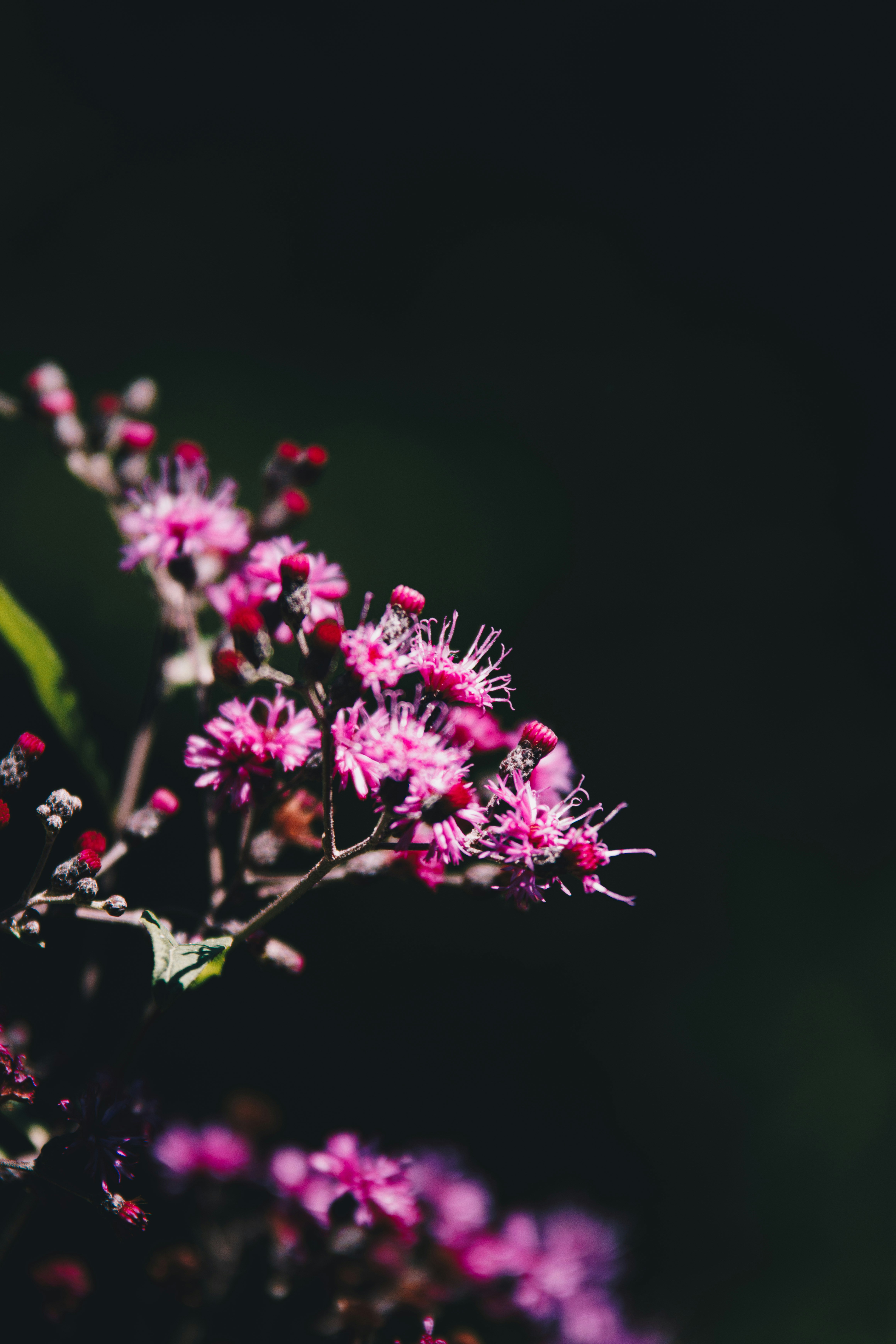 Photo by storywright