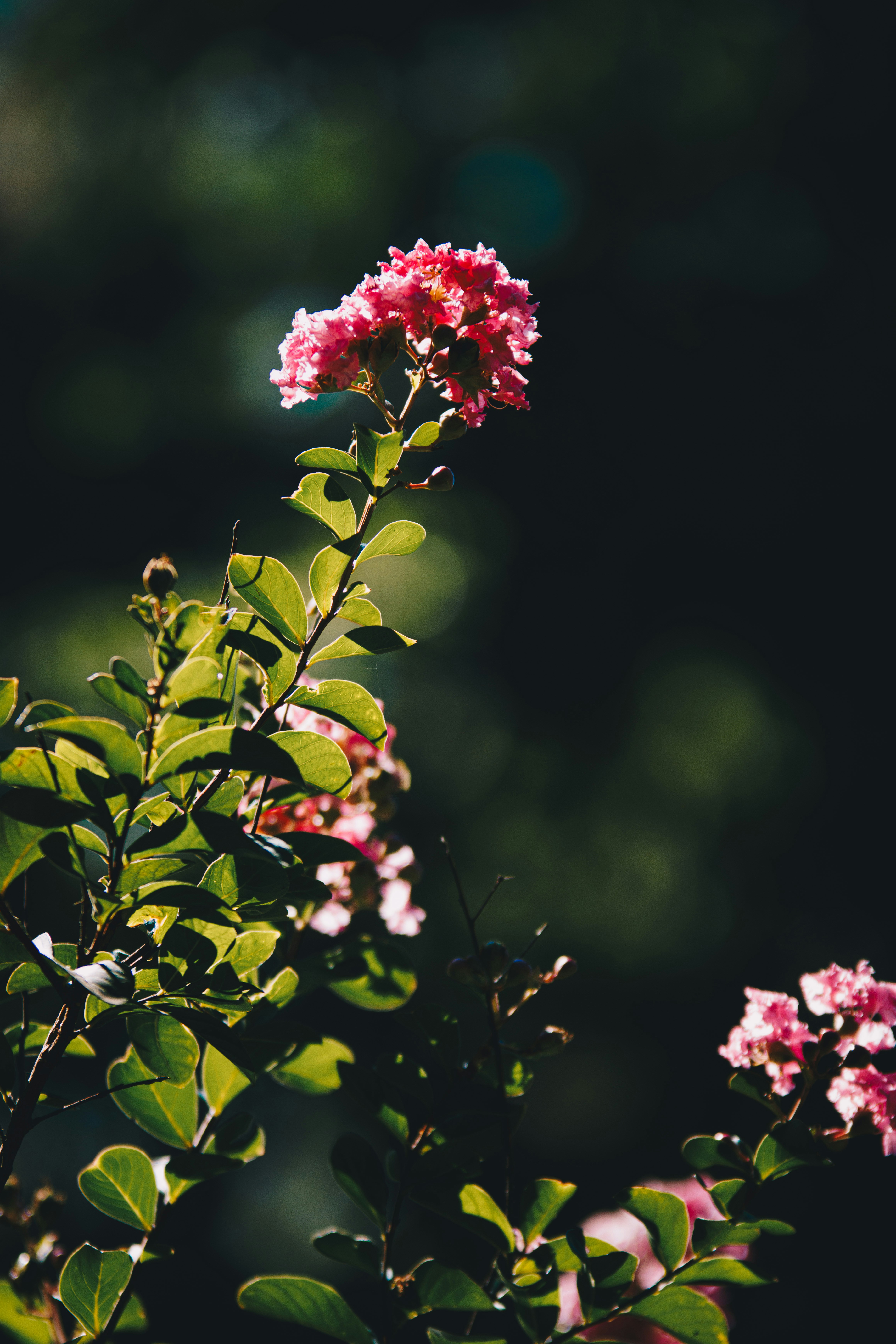 Photo by storywright