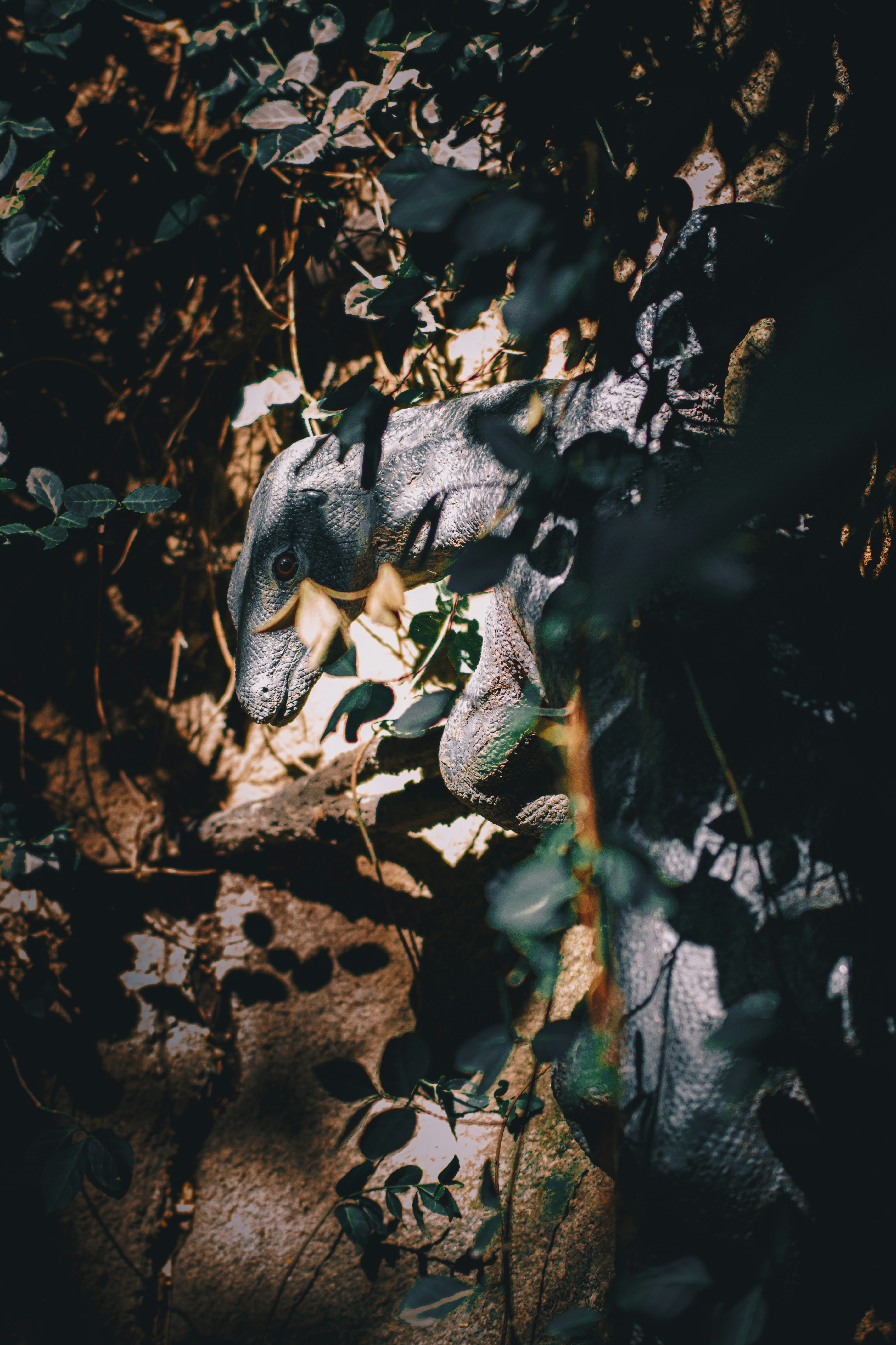 Photo by storywright