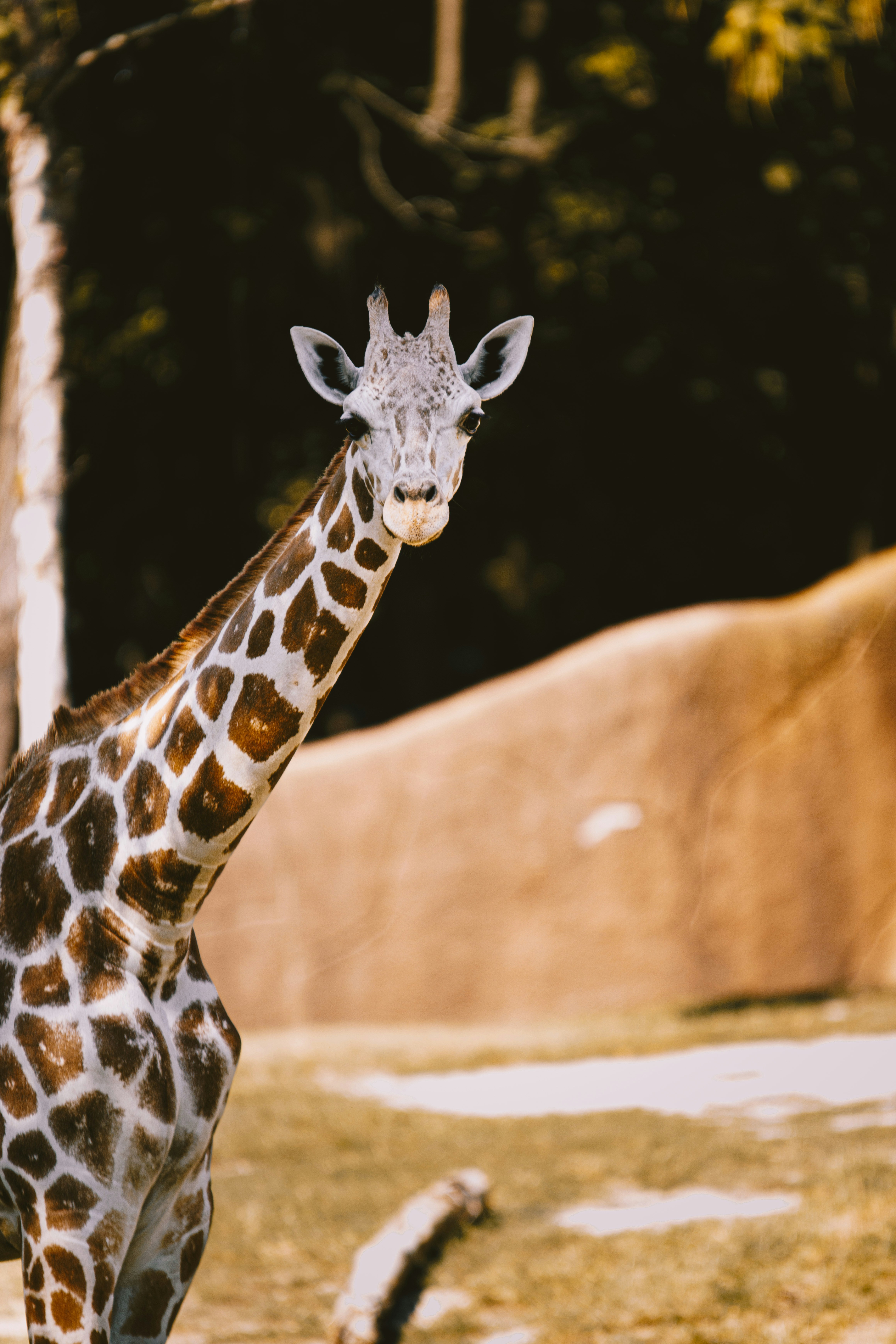 Photo by storywright