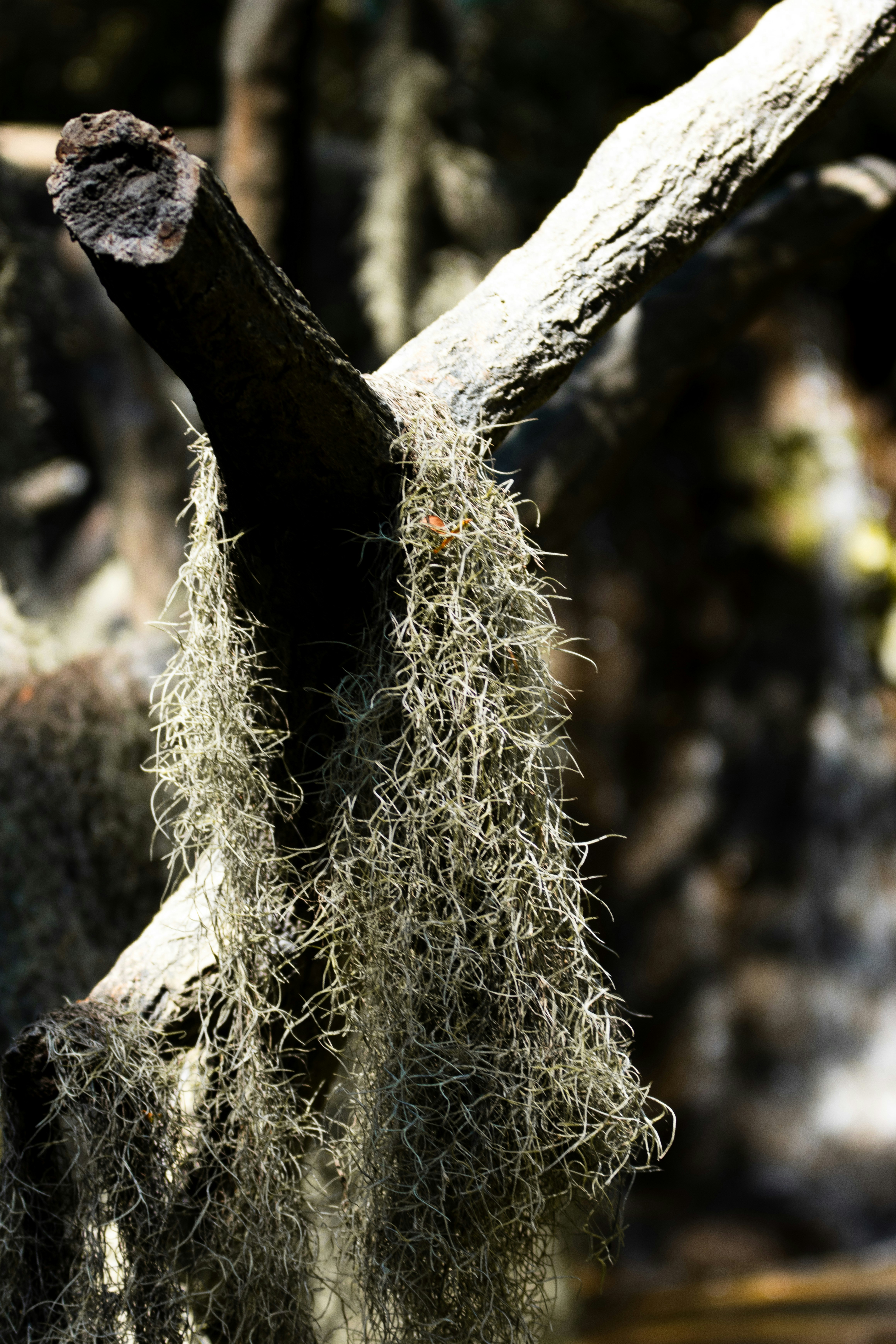 Photo by storywright