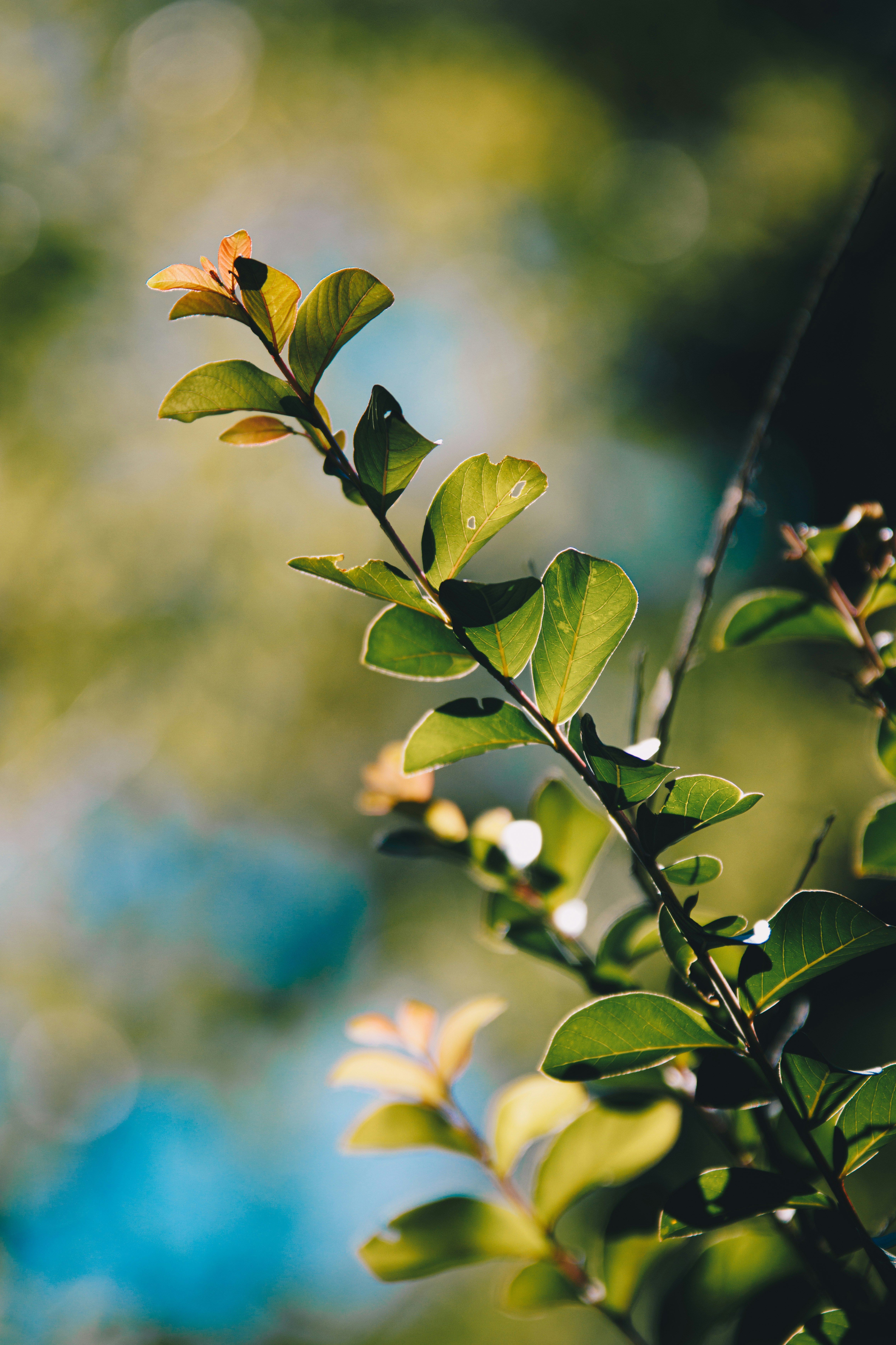 Photo by storywright